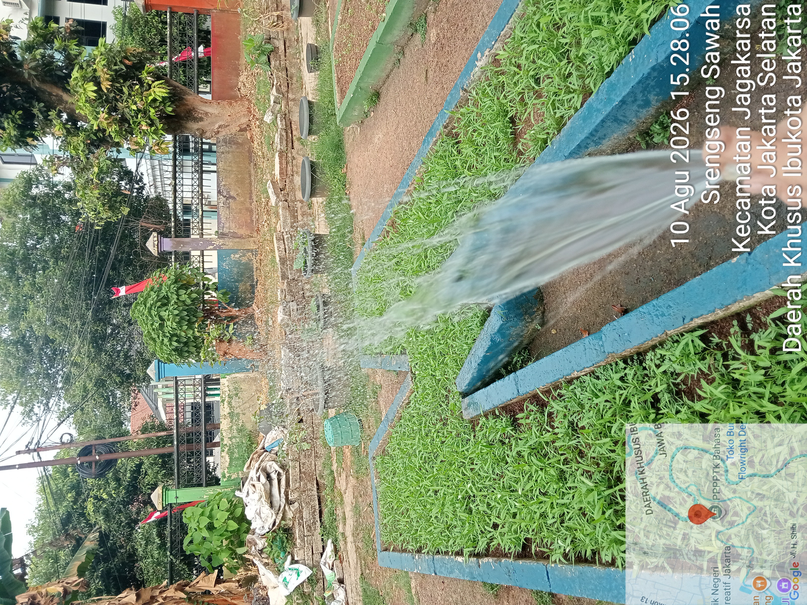 Lahan Urban Farming SMAN 109 Jakarta - Gambar 288