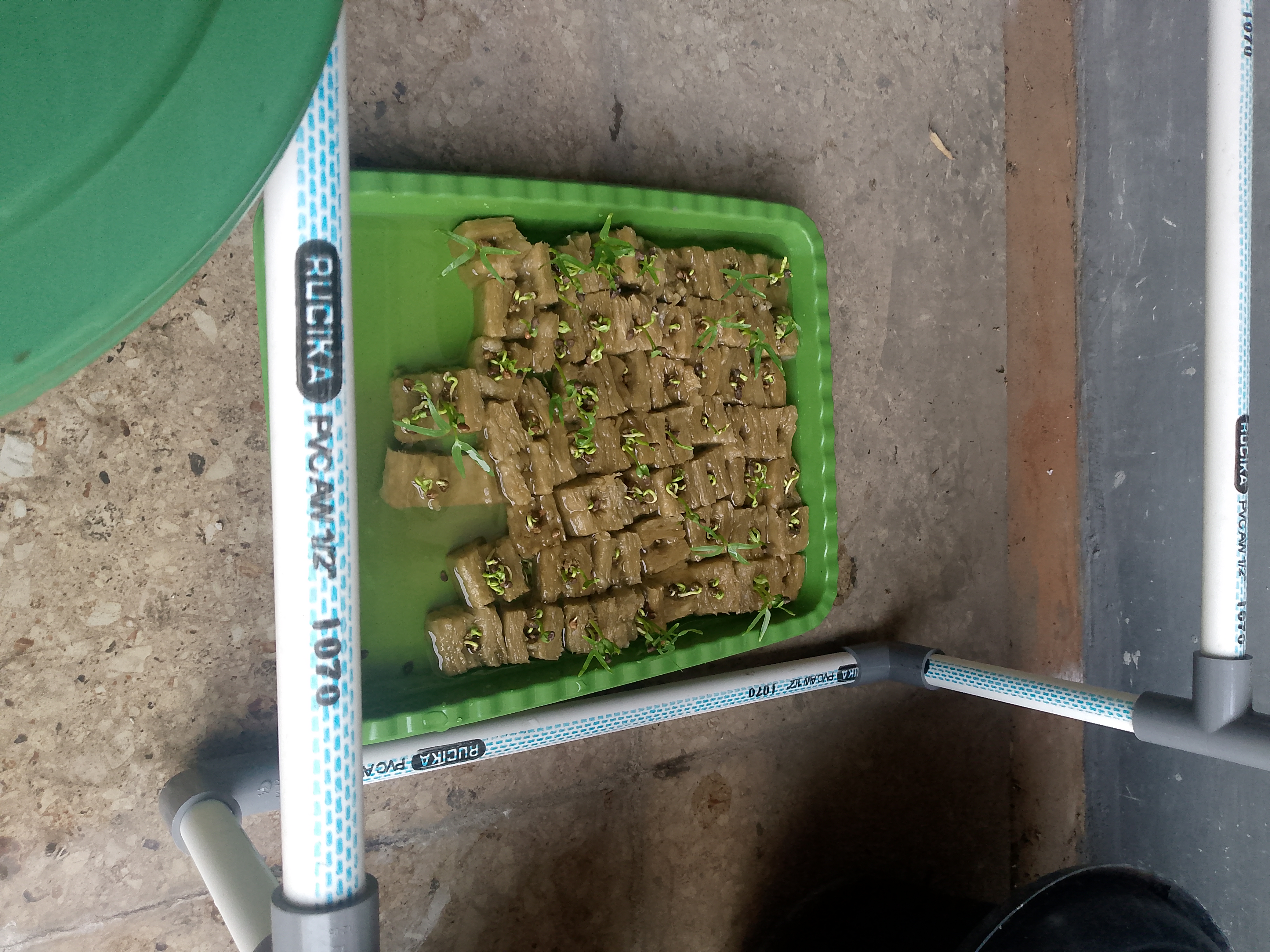 Lahan Urban Farming SMKN 41 Jakarta - Gambar 89