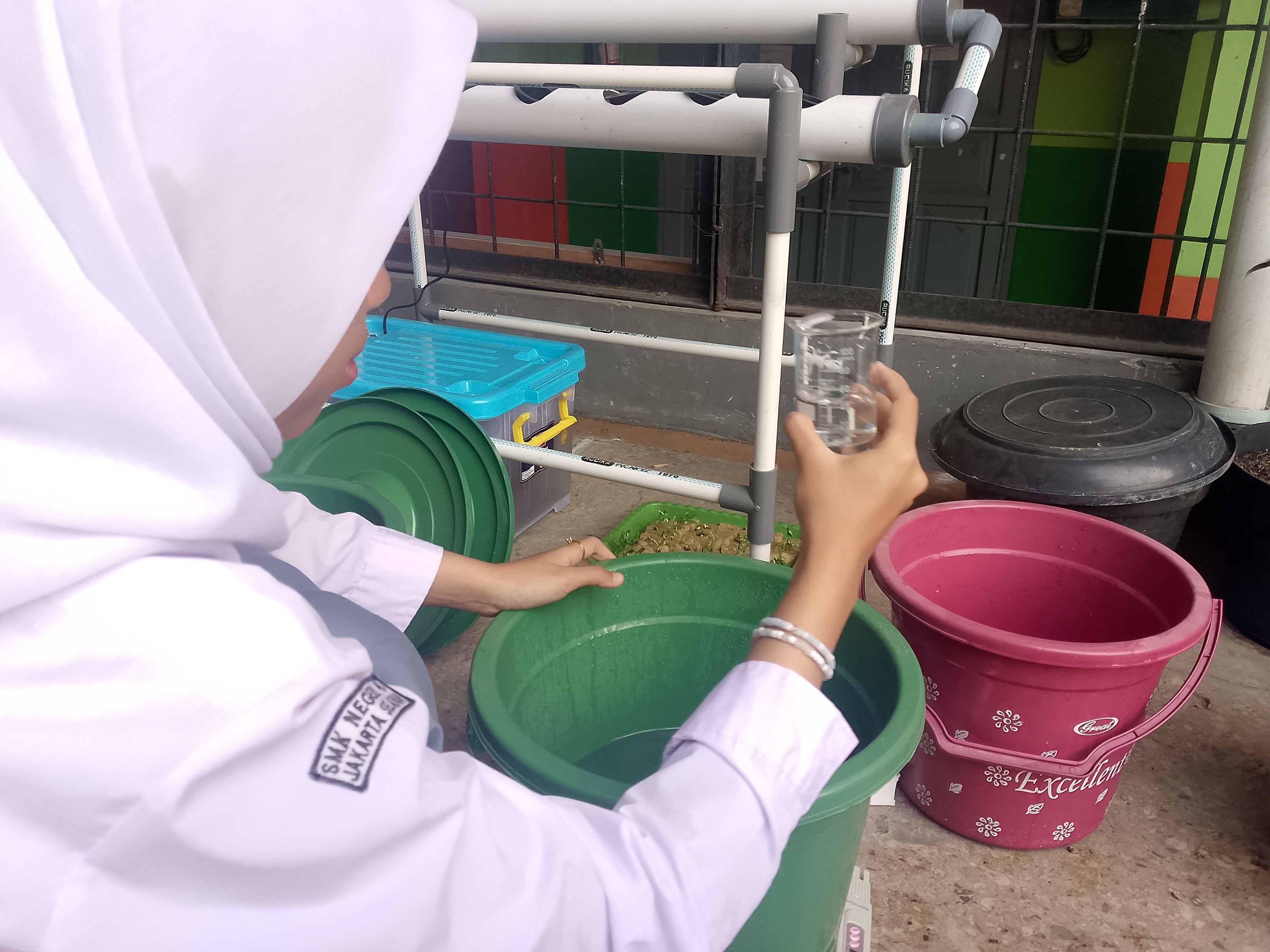 Lahan Urban Farming SMKN 41 Jakarta - Gambar 93