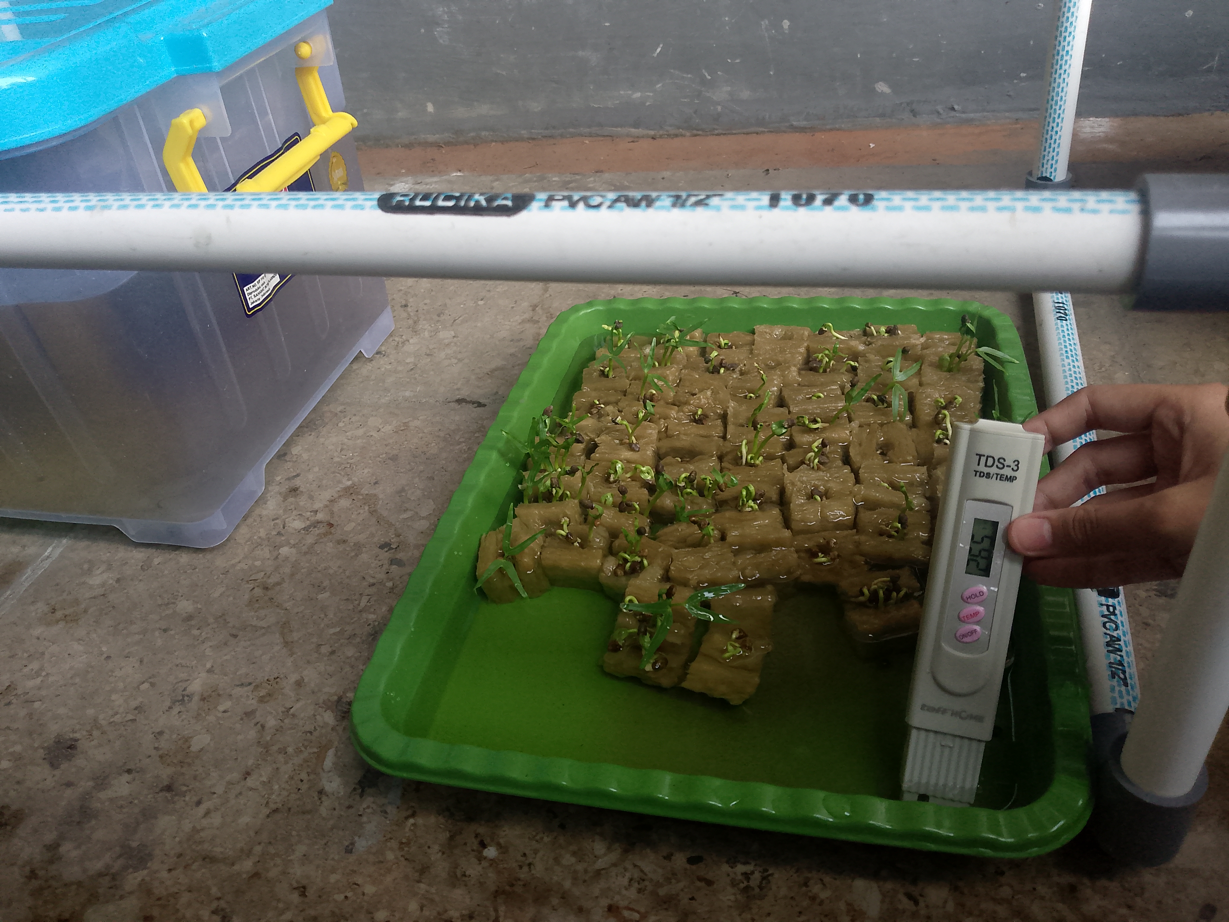 Lahan Urban Farming SMKN 41 Jakarta - Gambar 88