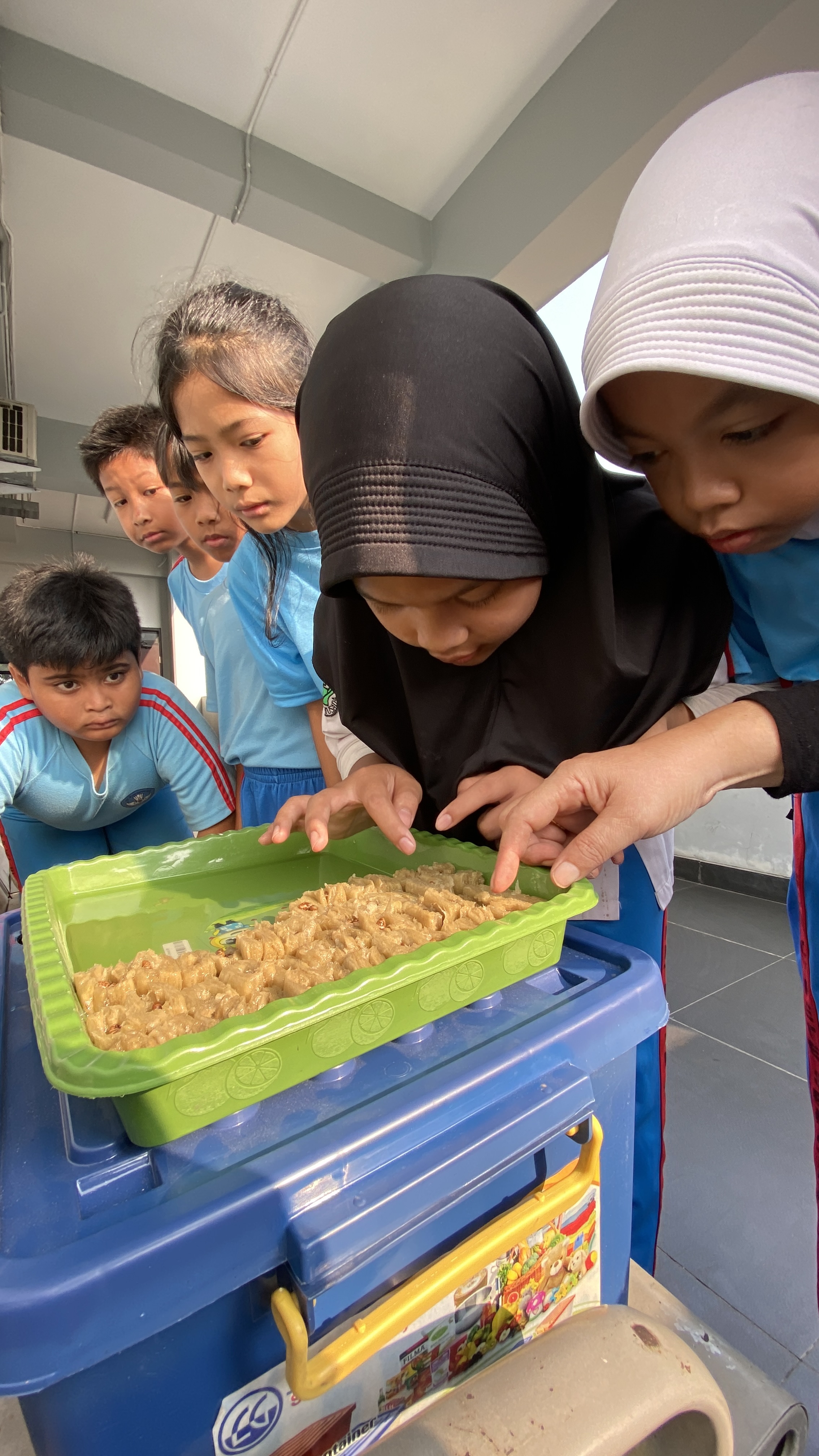 Lahan Urban Farming SDN Cipete Selatan 03 - Gambar 148