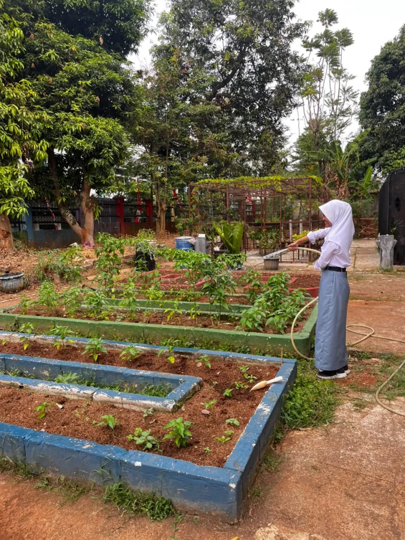 Lahan Urban Farming SMAN 109 Jakarta - Gambar 285