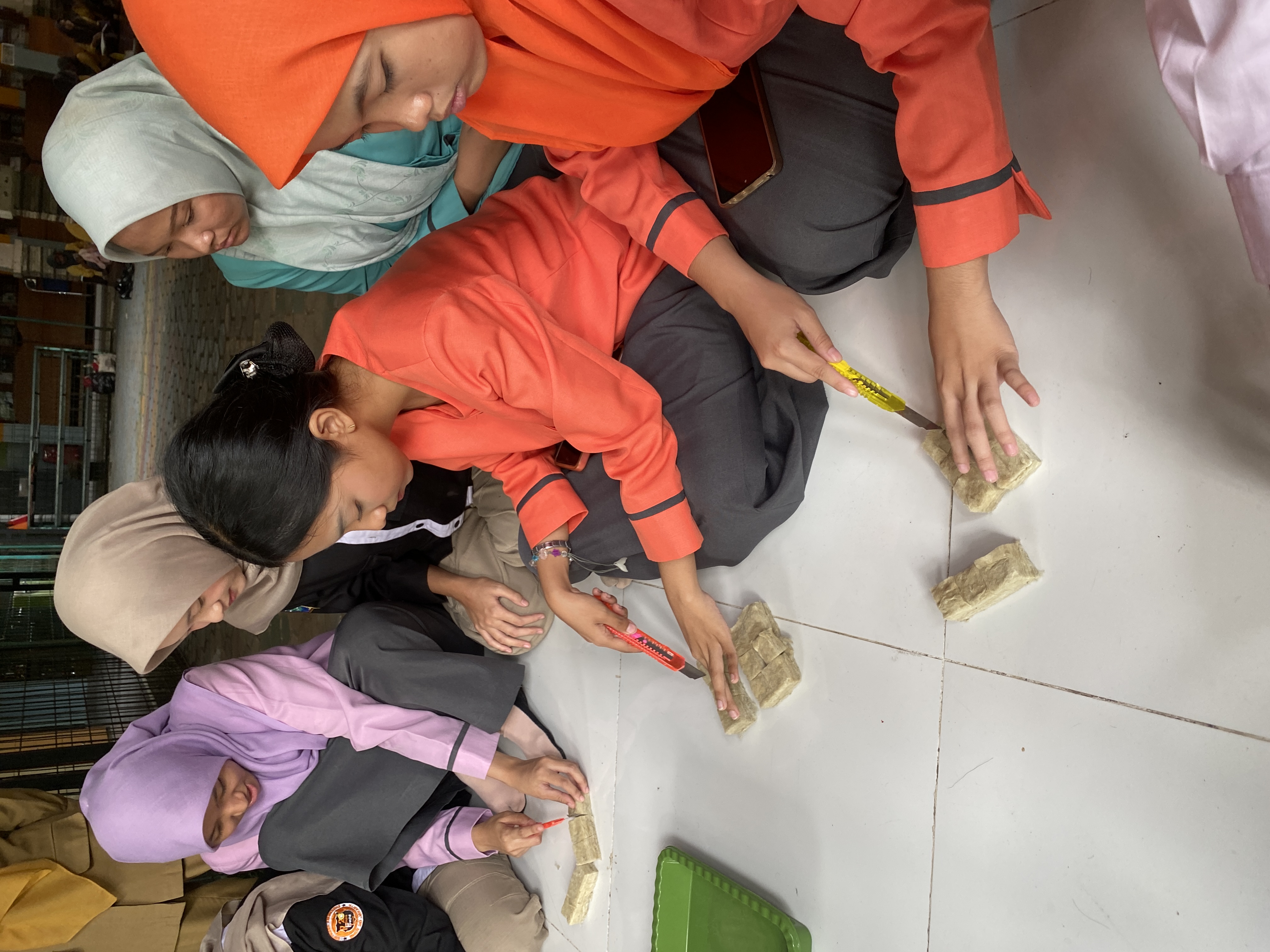 Lahan Urban Farming SMKN 20 Jakarta - Gambar 143
