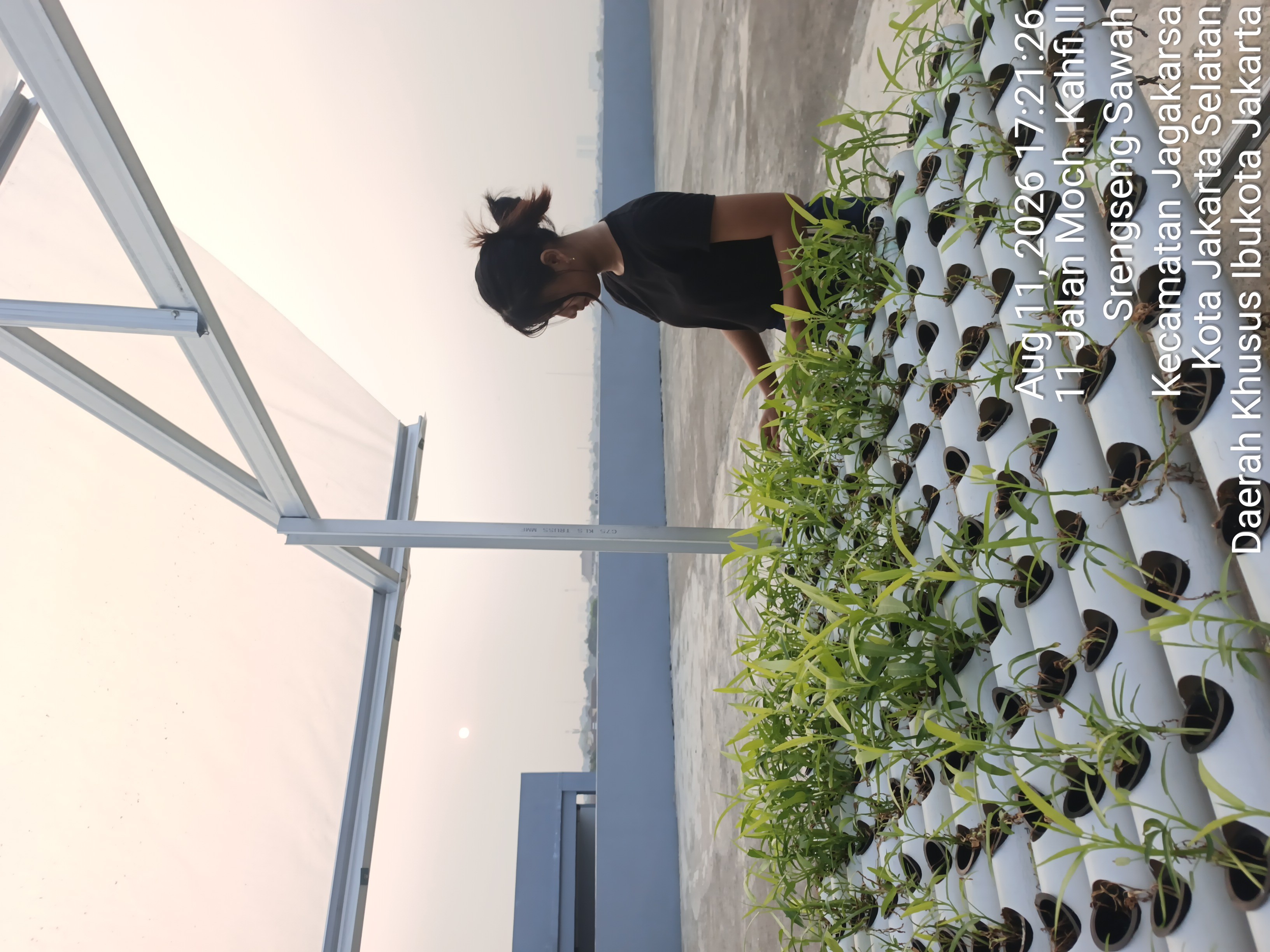 KEBUN SMKN 74 JAGAKARSA JAKARTA SELATAN - Gambar 413