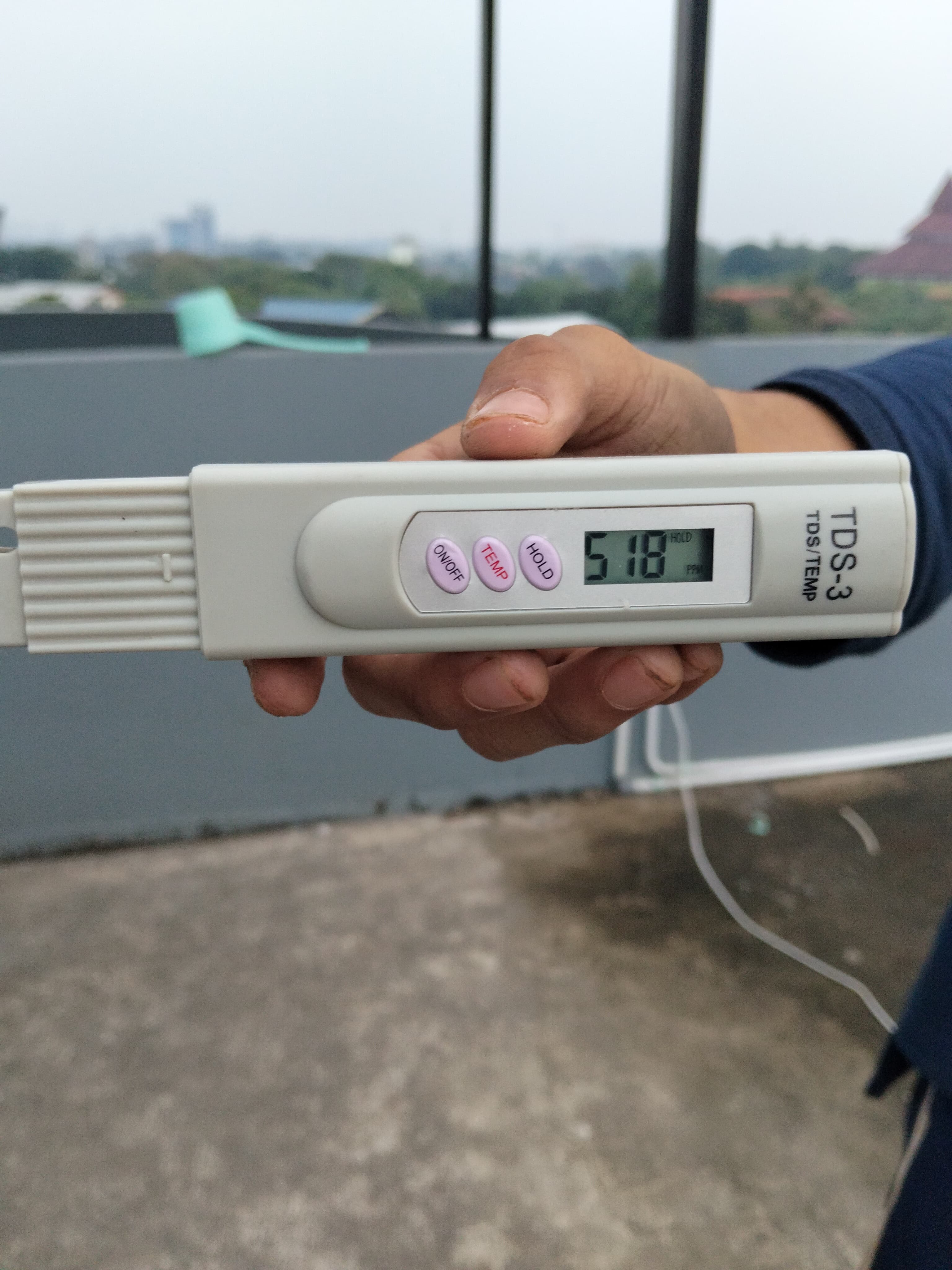 KEBUN SMKN 74 JAGAKARSA JAKARTA SELATAN - Gambar 415