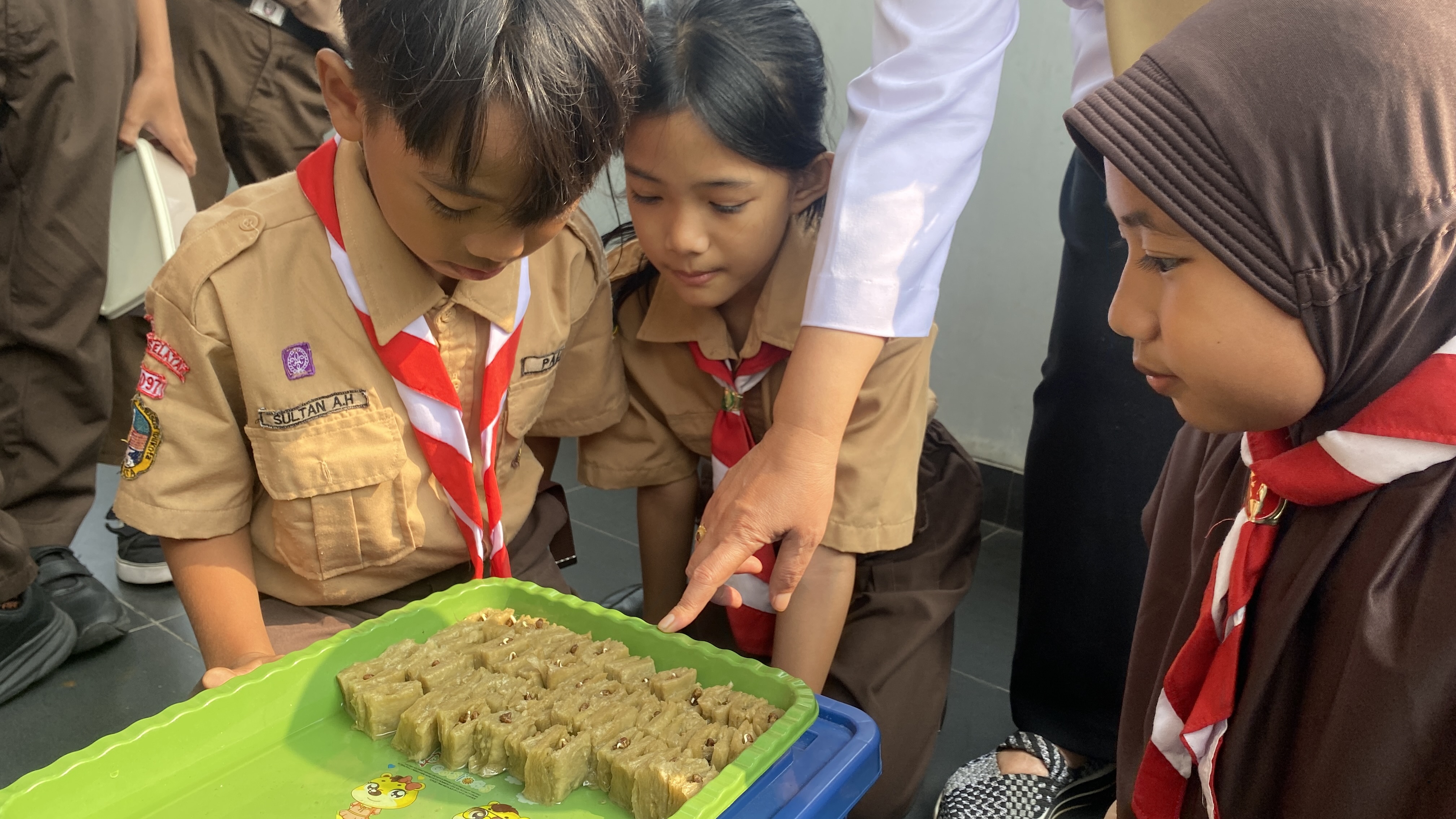 Lahan Urban Farming SDN Cipete Selatan 03 - Gambar 146