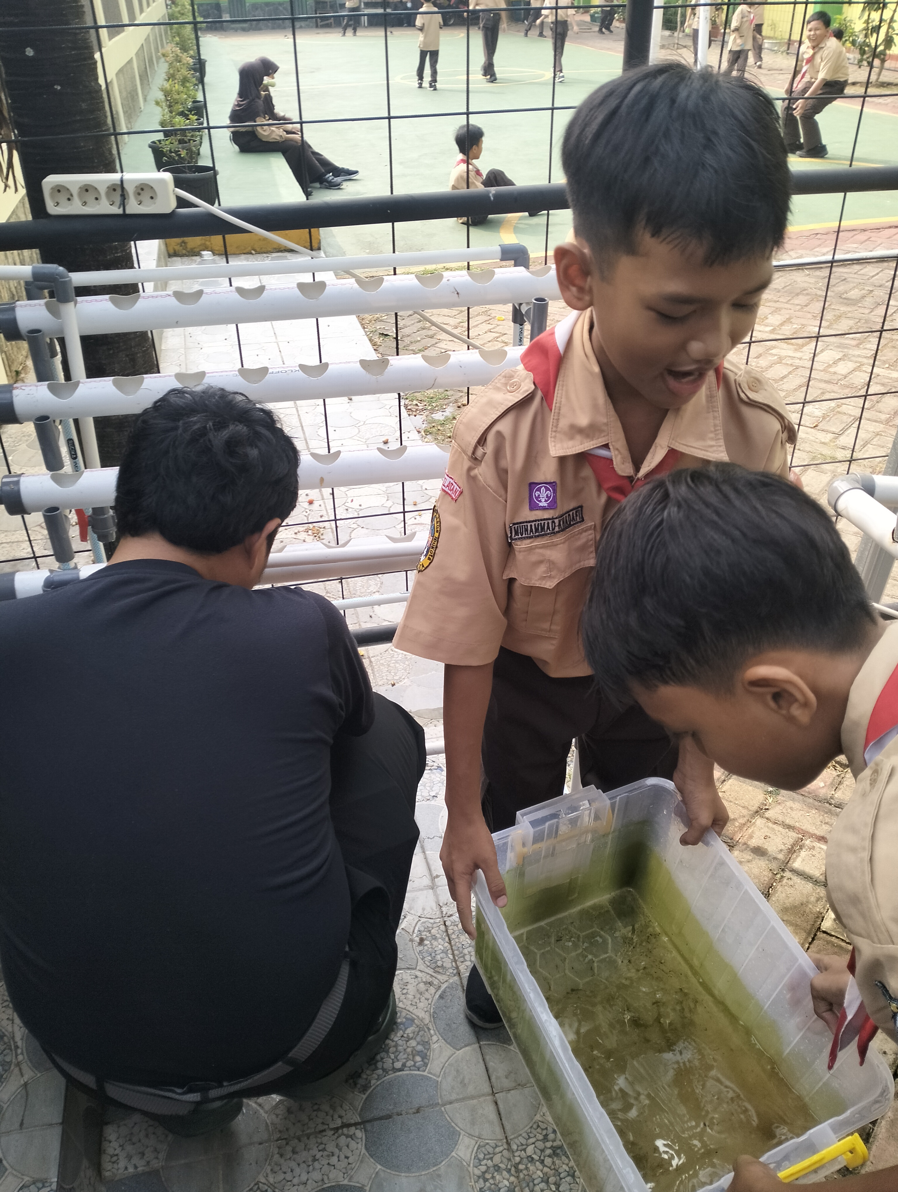 Lahan Urban Farming SDN Lenteng Agung 07 Jakarta - Gambar 114