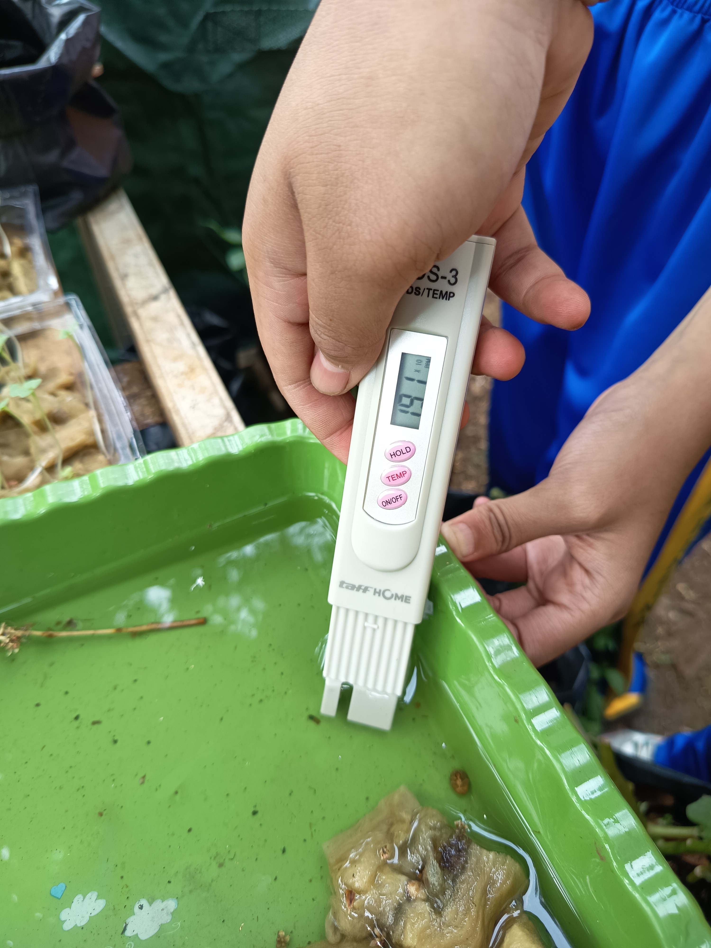 Lahan Urban Farming SLB A Pembina Tingkat Nasional - Gambar 148