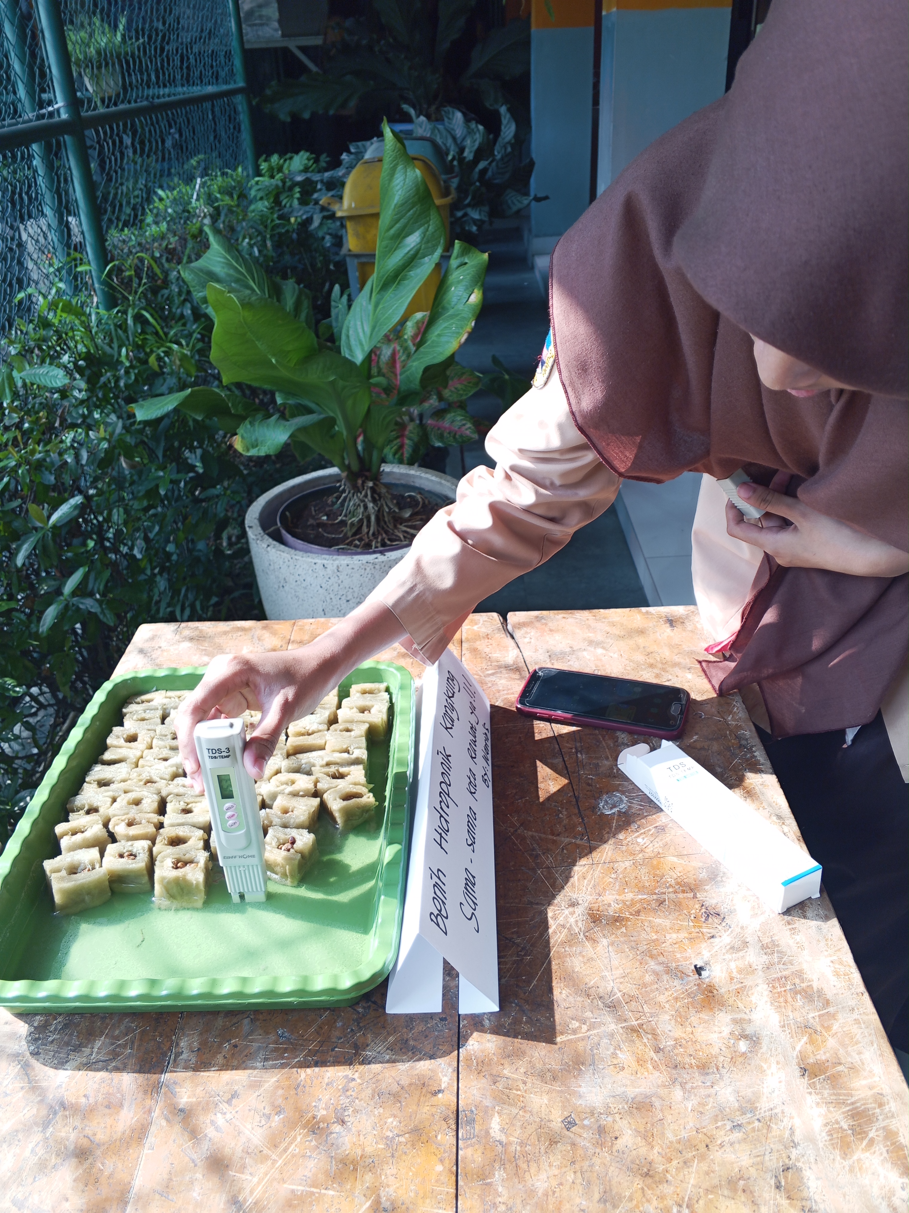 Lahan Urban Farming SMKN 20 Jakarta - Gambar 142