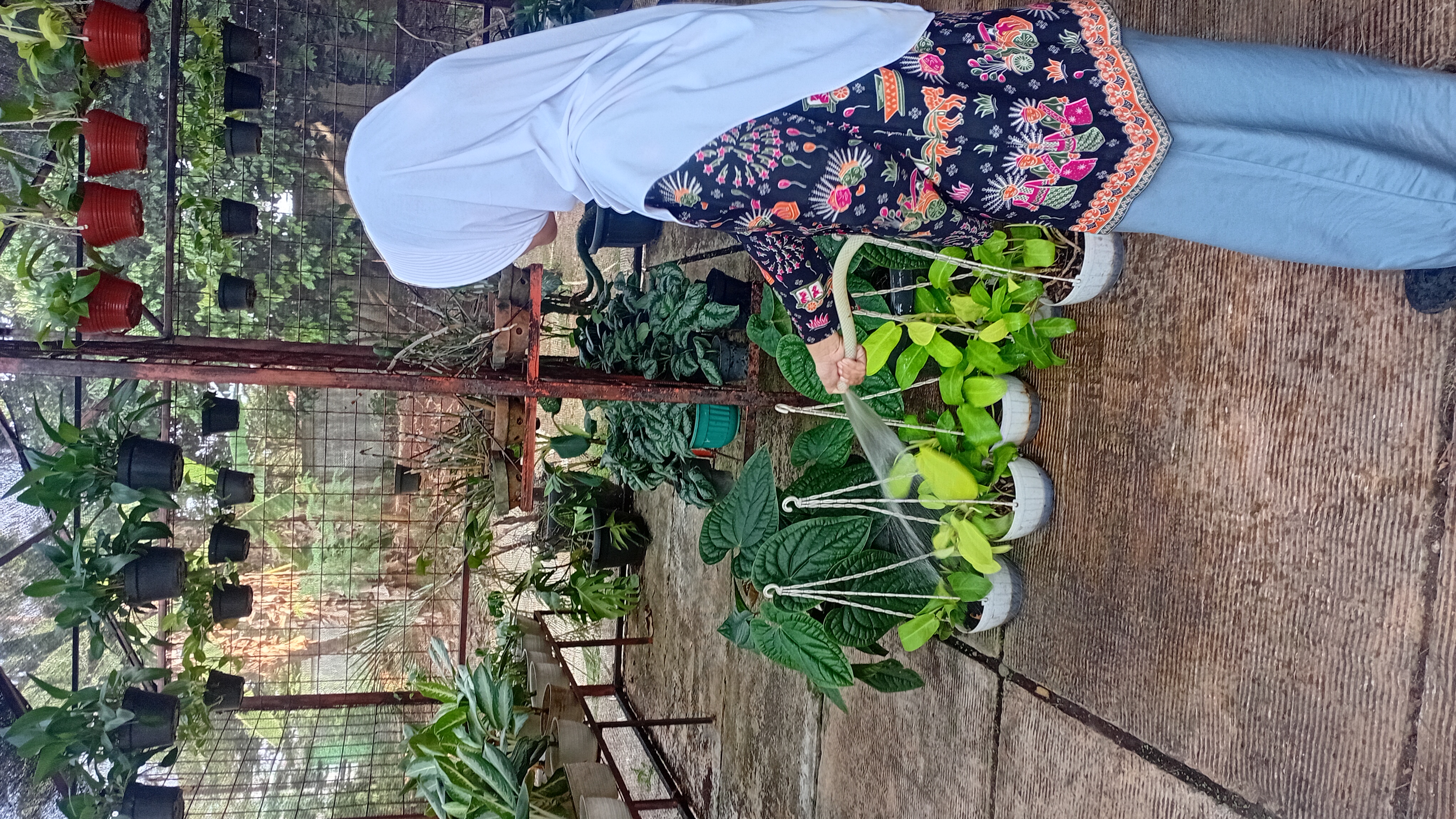 Lahan Urban Farming SMAN 109 Jakarta - Gambar 279