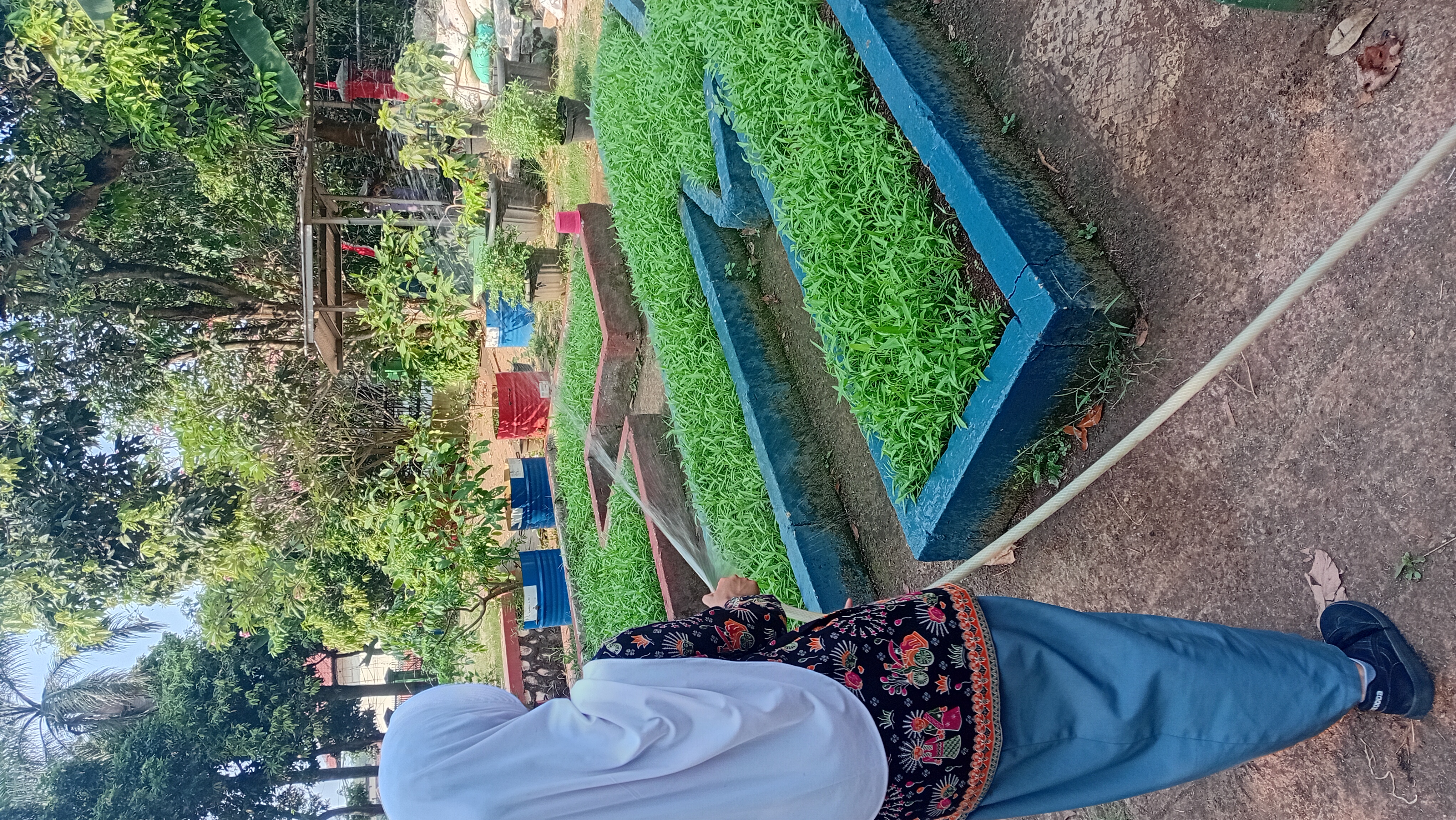 Lahan Urban Farming SMAN 109 Jakarta - Gambar 278