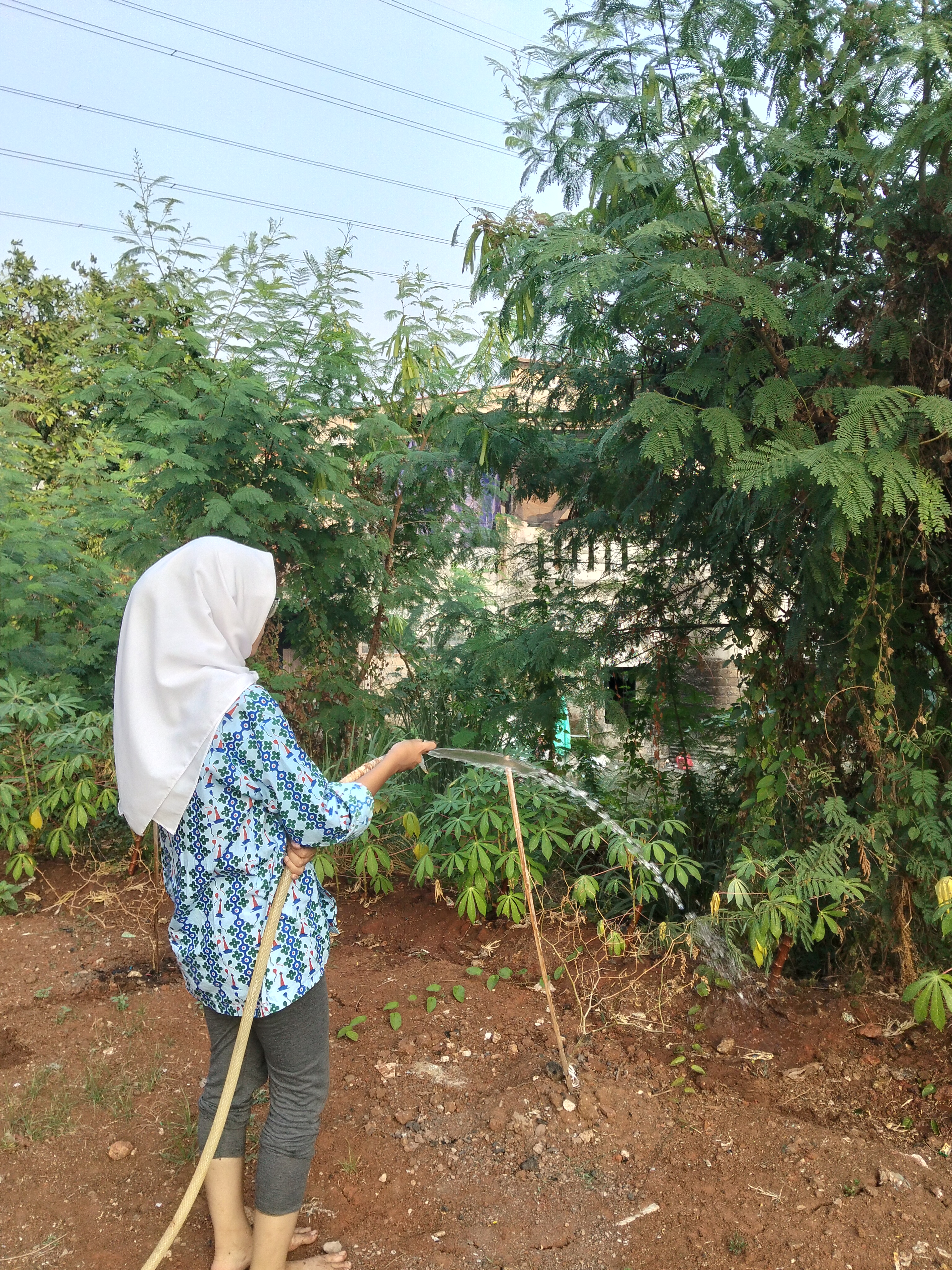 KEBUN SMKN 74 JAGAKARSA JAKARTA SELATAN - Gambar 405