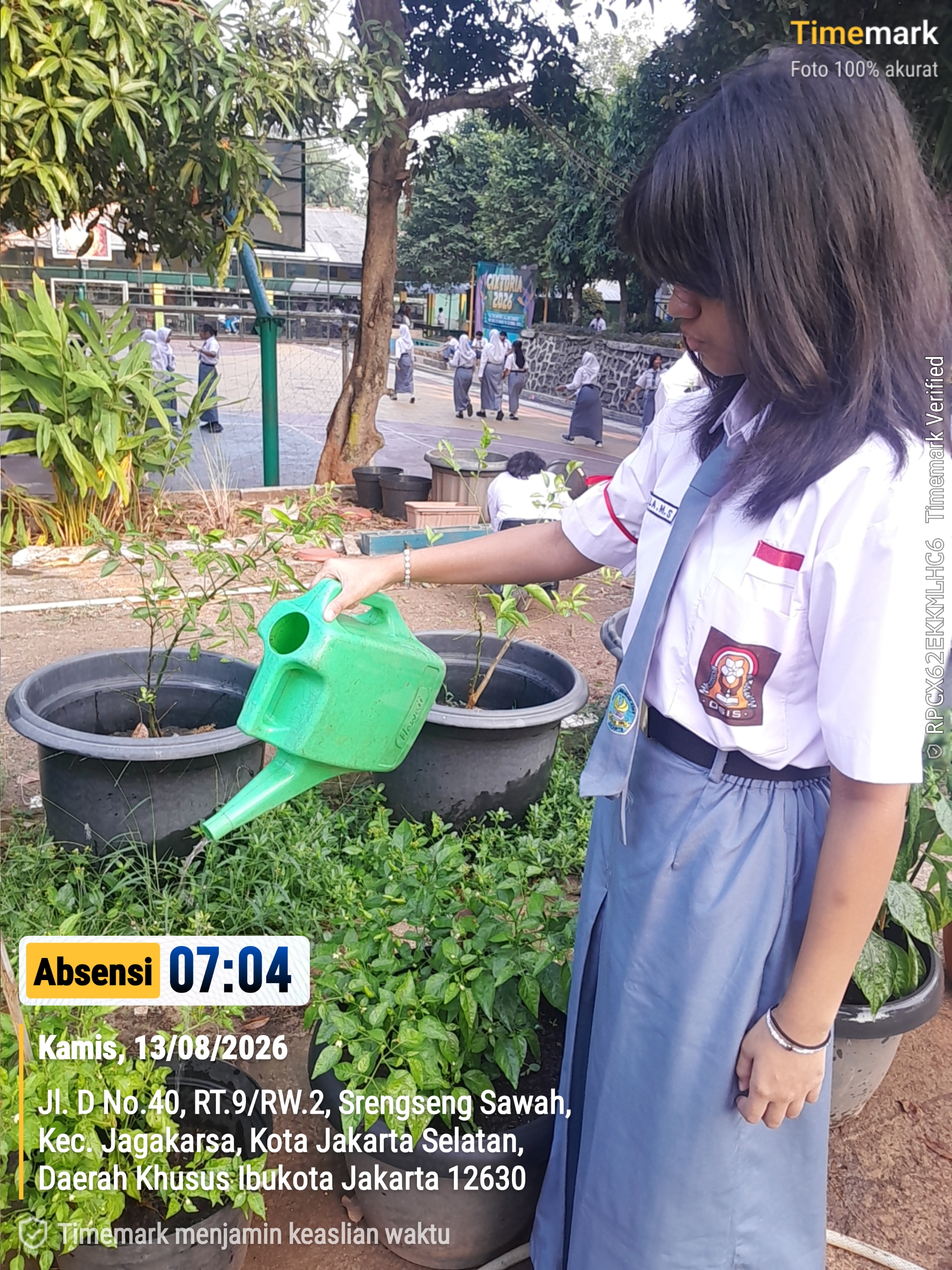 Lahan Urban Farming SMAN 109 Jakarta - Gambar 277