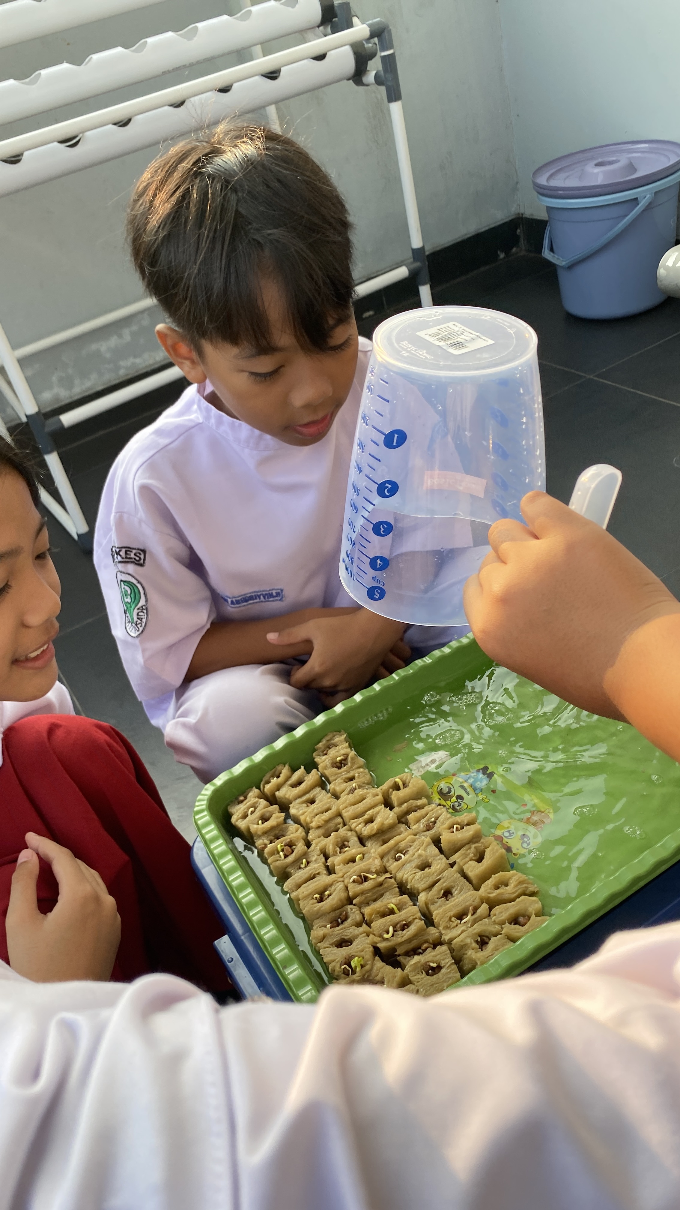 Lahan Urban Farming SDN Cipete Selatan 03 - Gambar 140