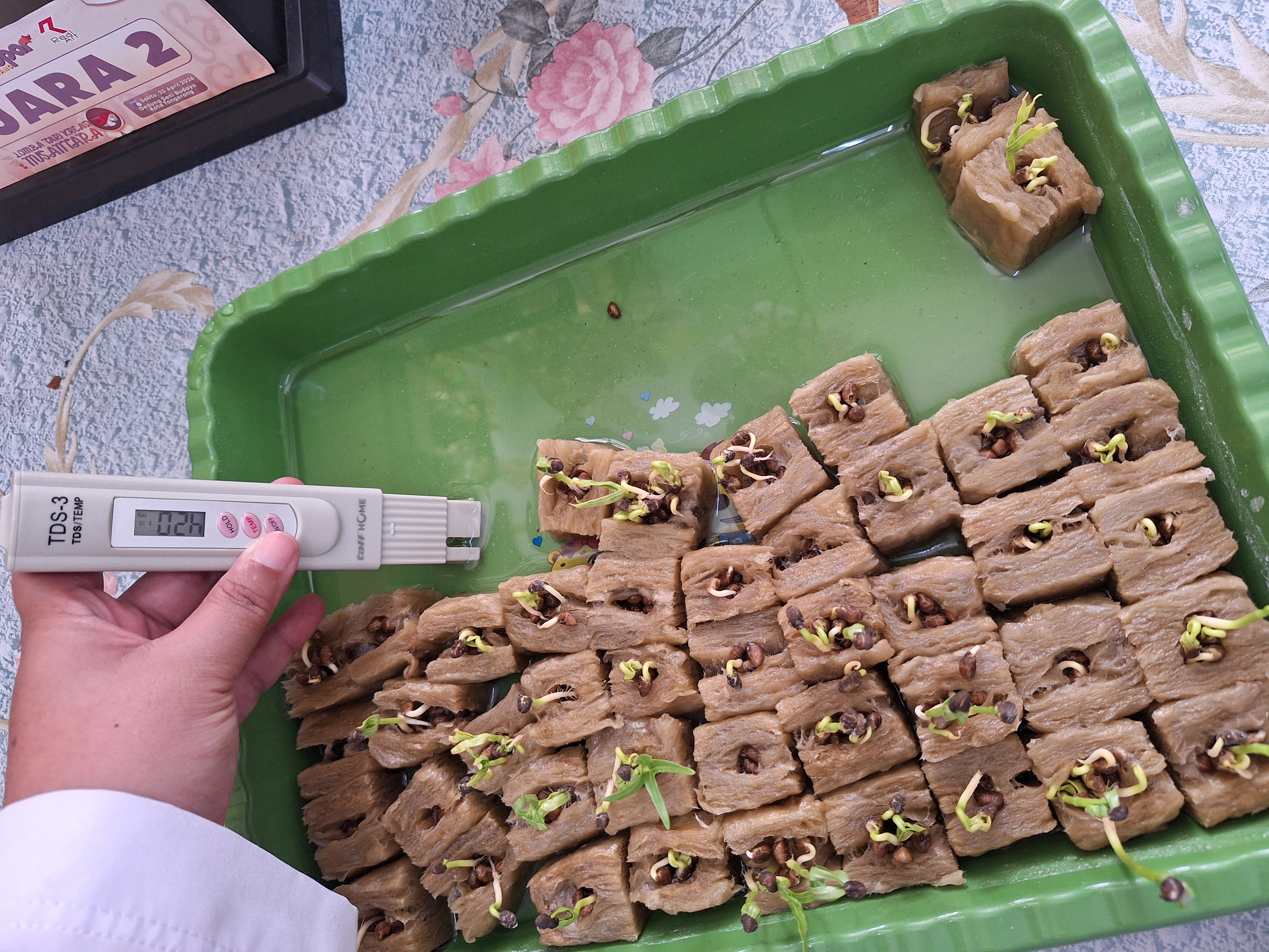 Lahan Urban Farming SMAN 34 Jakarta - Gambar 100