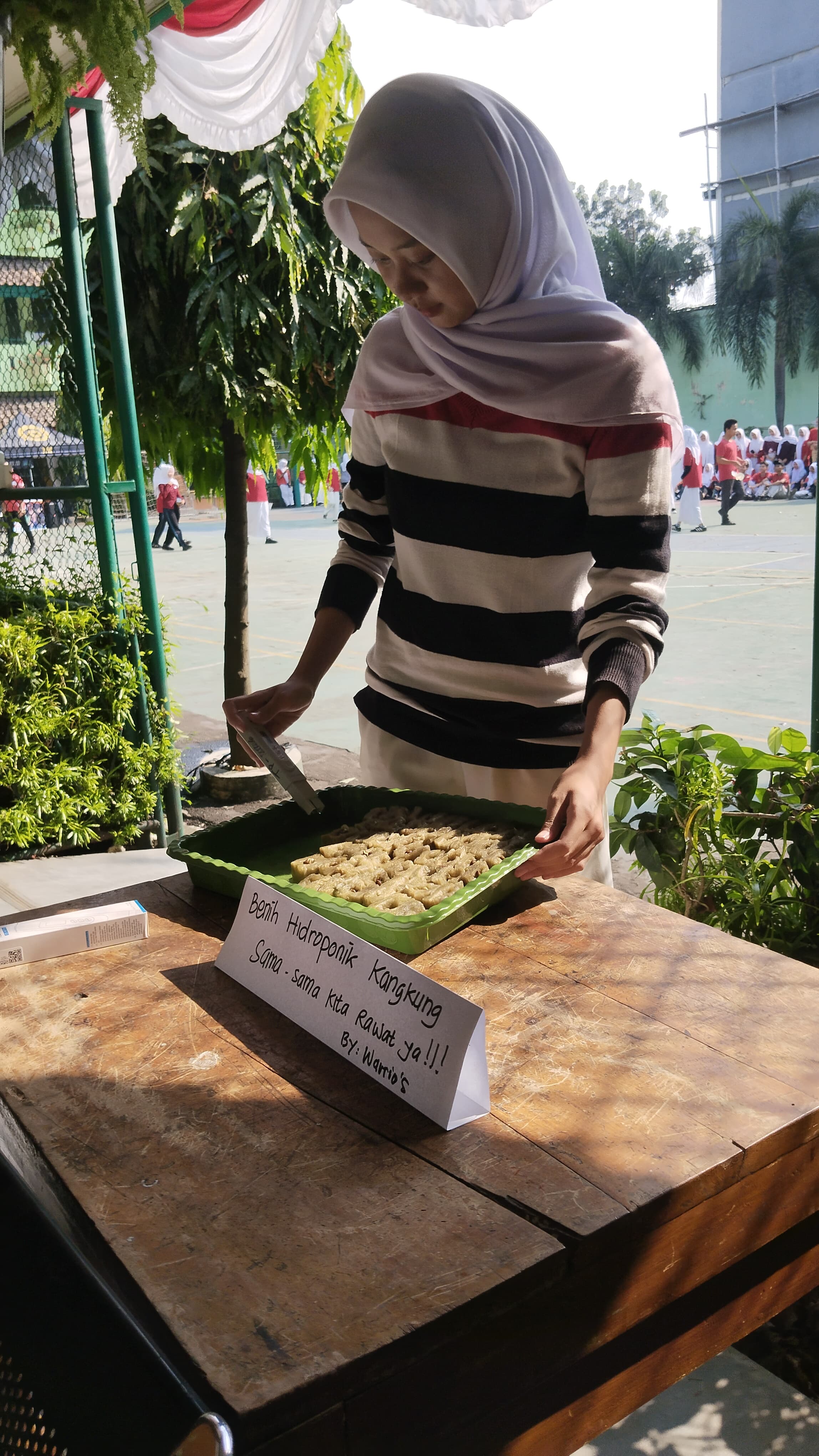 Lahan Urban Farming SMKN 20 Jakarta - Gambar 138