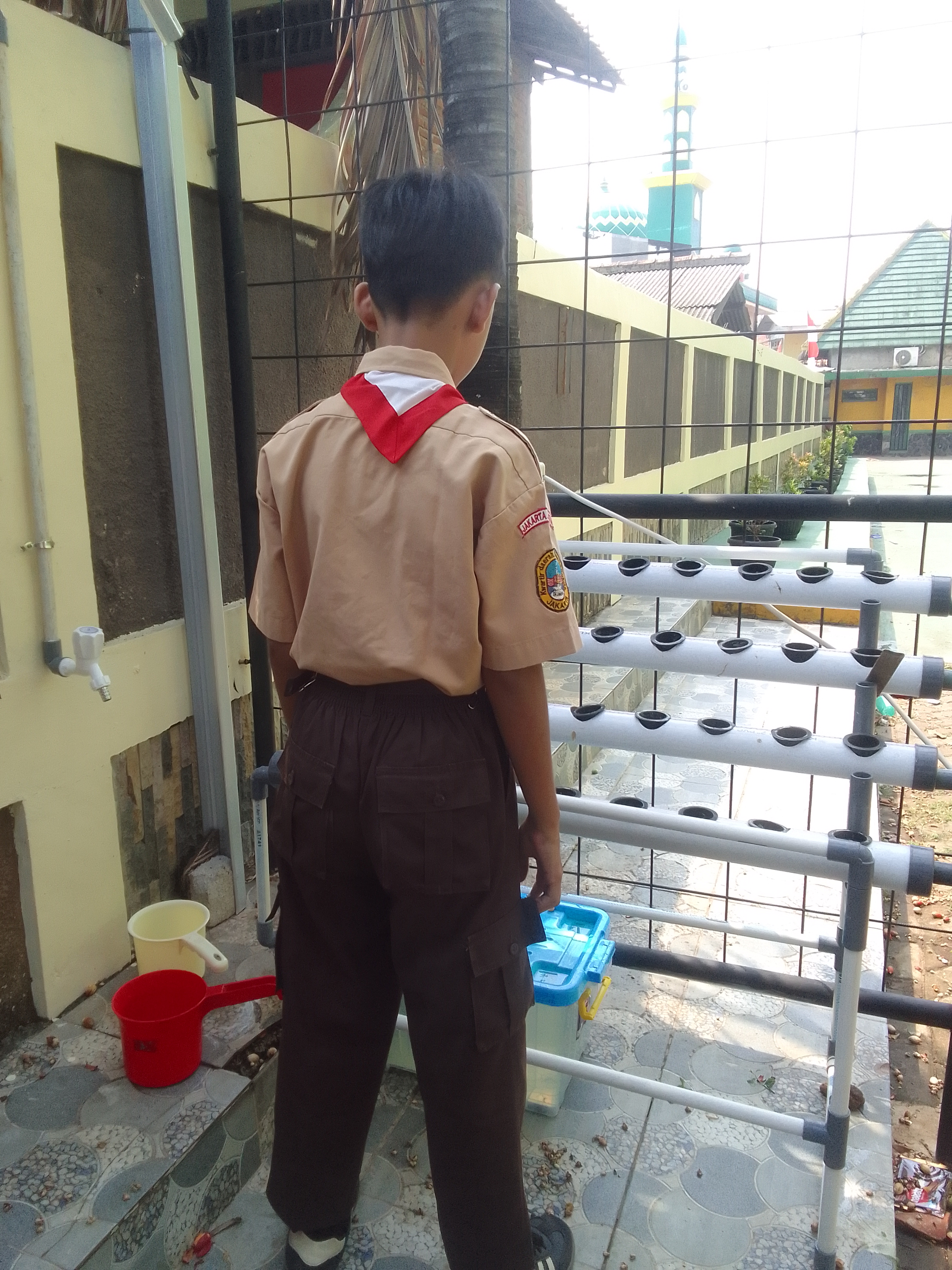 Lahan Urban Farming SDN Lenteng Agung 07 Jakarta - Gambar 109