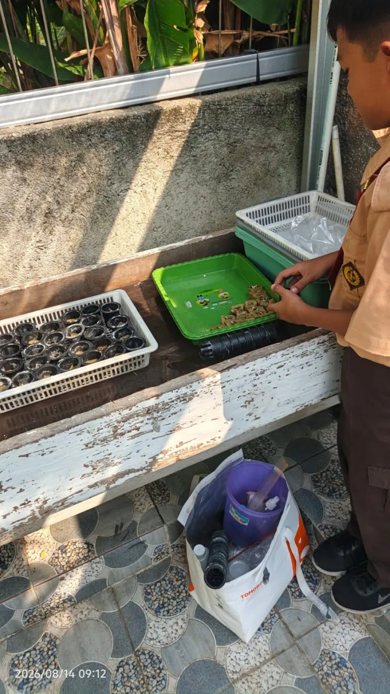 Lahan Urban Farming SDN Lenteng Agung 07 Jakarta - Gambar 110