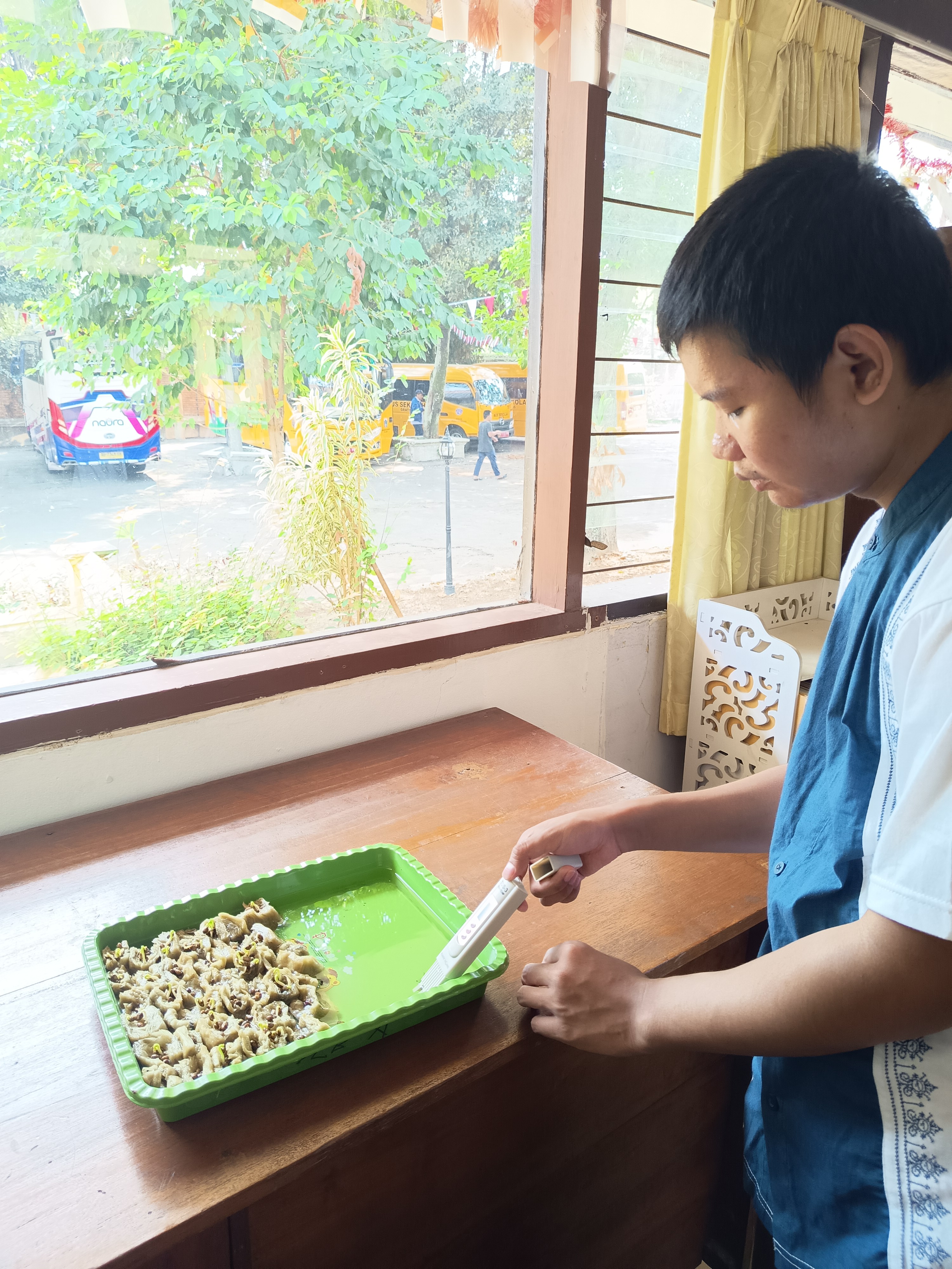 Lahan Urban Farming SLB A Pembina Tingkat Nasional - Gambar 144