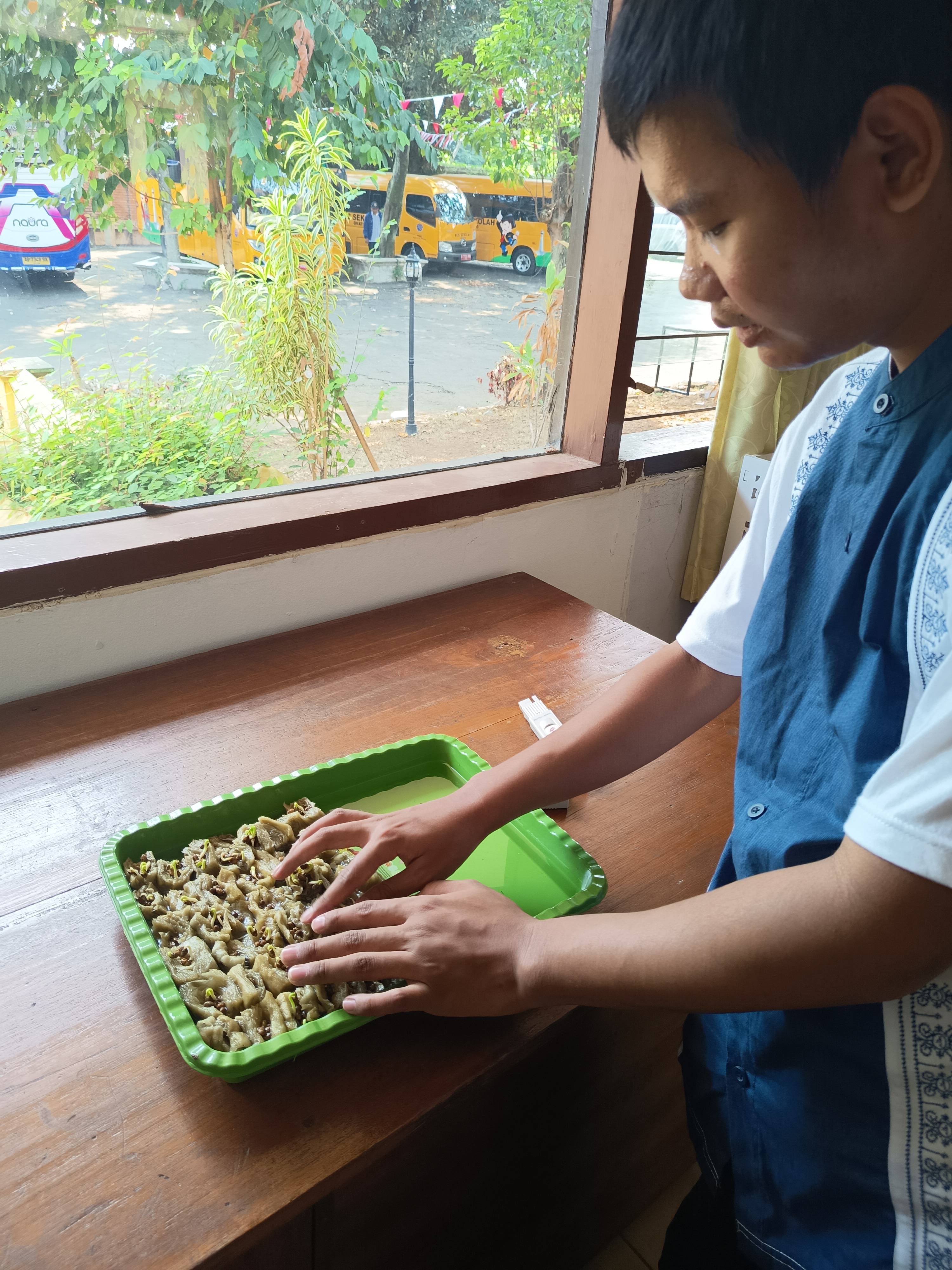 Lahan Urban Farming SLB A Pembina Tingkat Nasional - Gambar 142