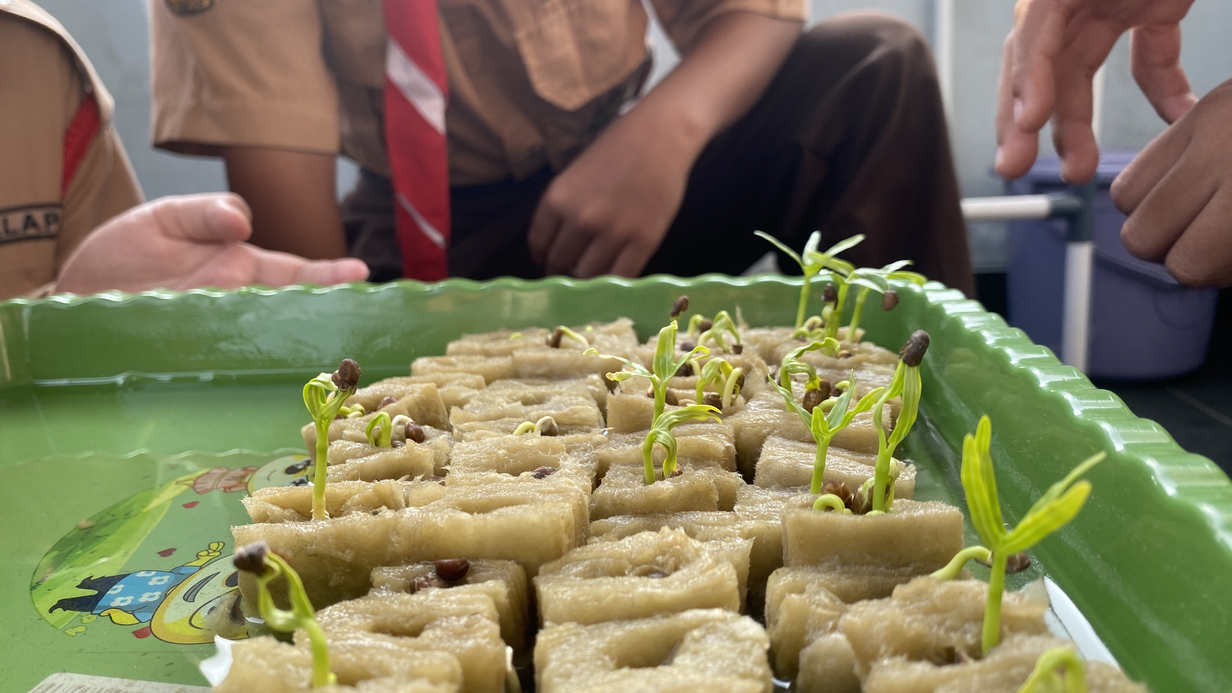 Lahan Urban Farming SDN Cipete Selatan 03 - Gambar 134