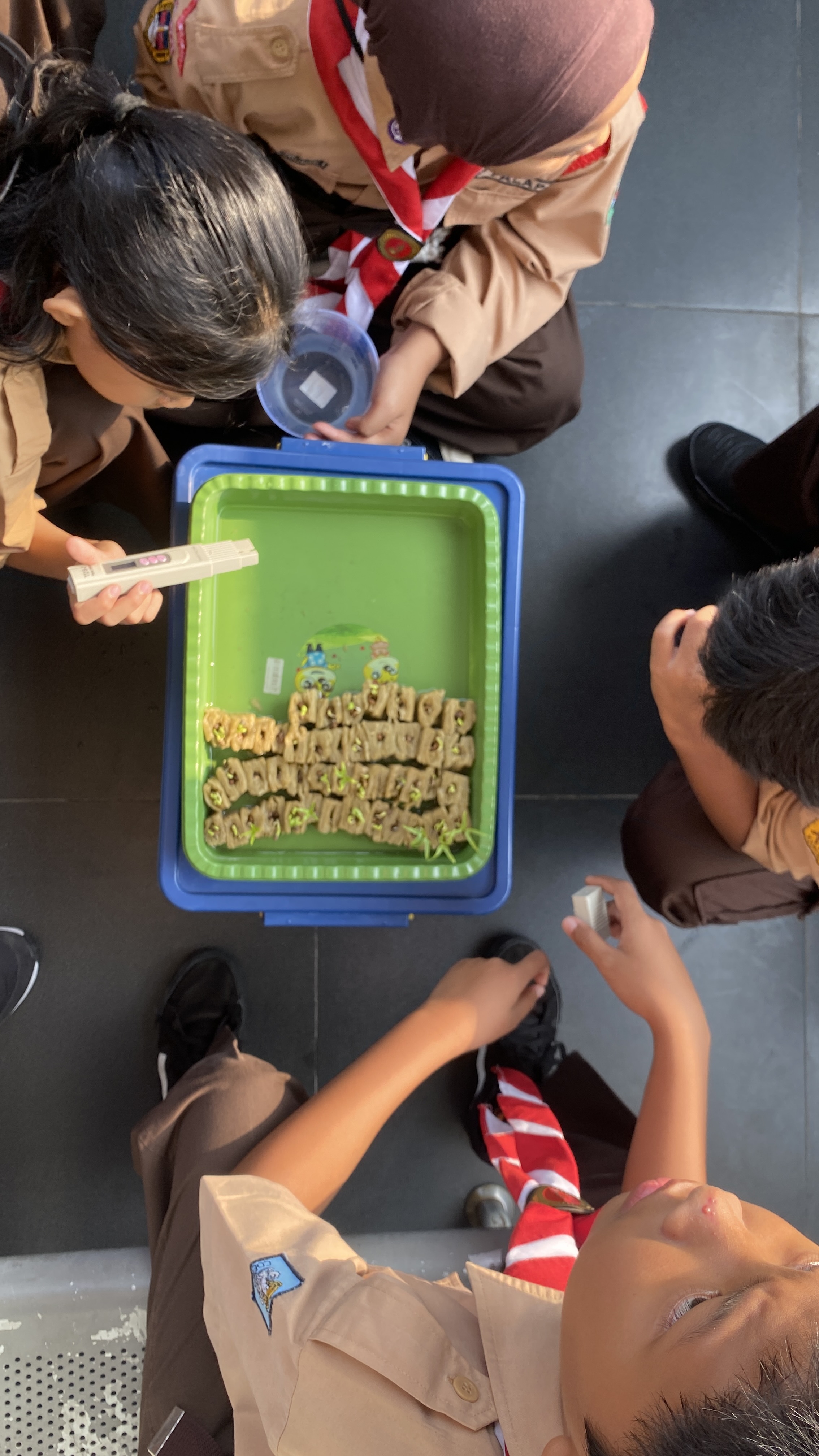 Lahan Urban Farming SDN Cipete Selatan 03 - Gambar 135