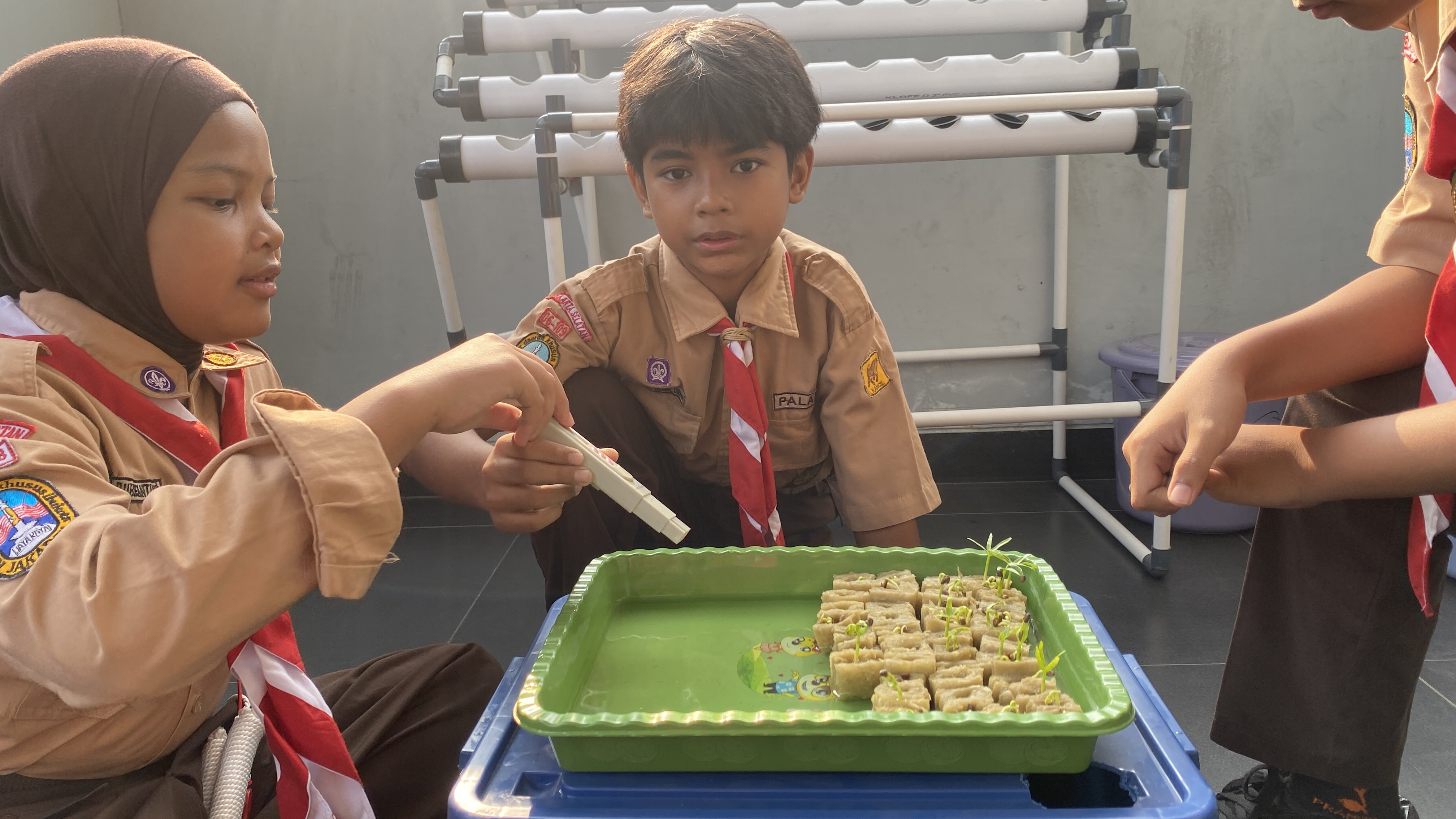 Lahan Urban Farming SDN Cipete Selatan 03 - Gambar 136