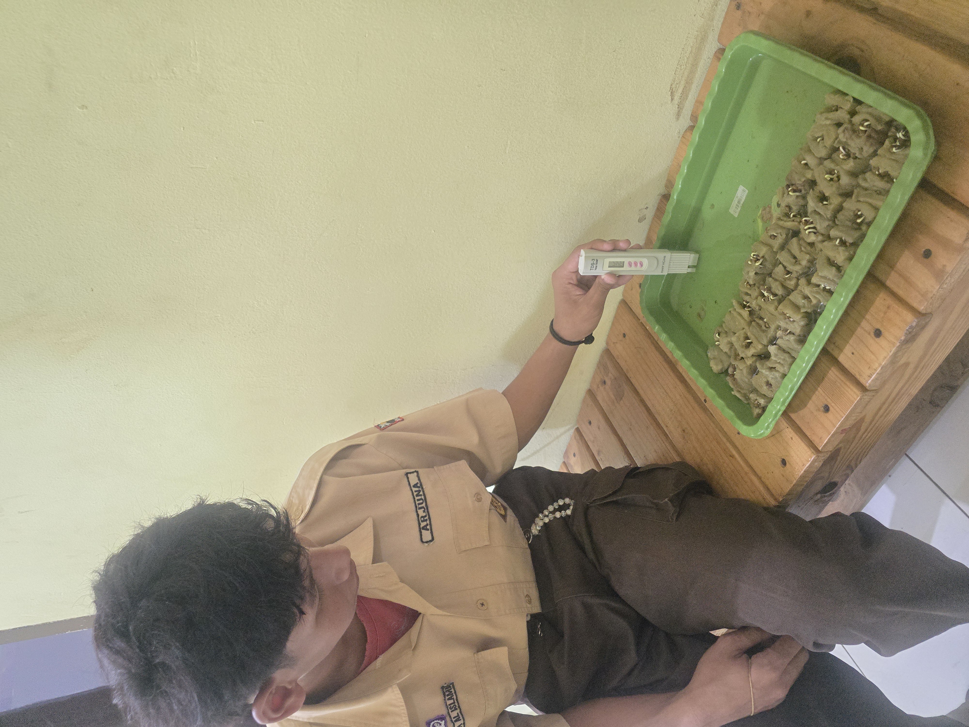 Lahan Urban Farming SLBN 01 Lebak Bulus - Gambar 87