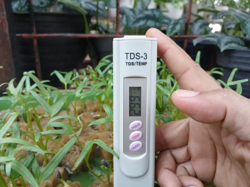 Lahan Urban Farming SMAN 109 Jakarta - Gambar 273