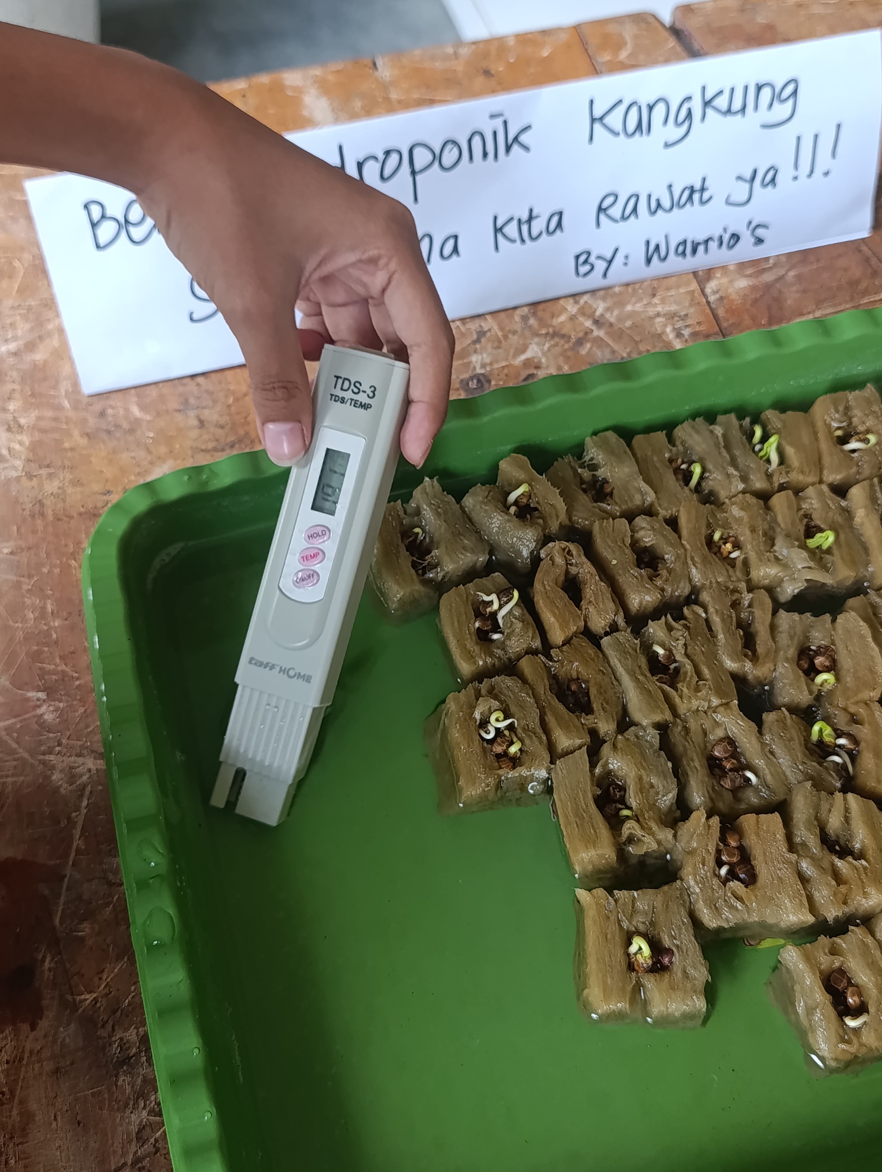 Lahan Urban Farming SMKN 20 Jakarta - Gambar 134