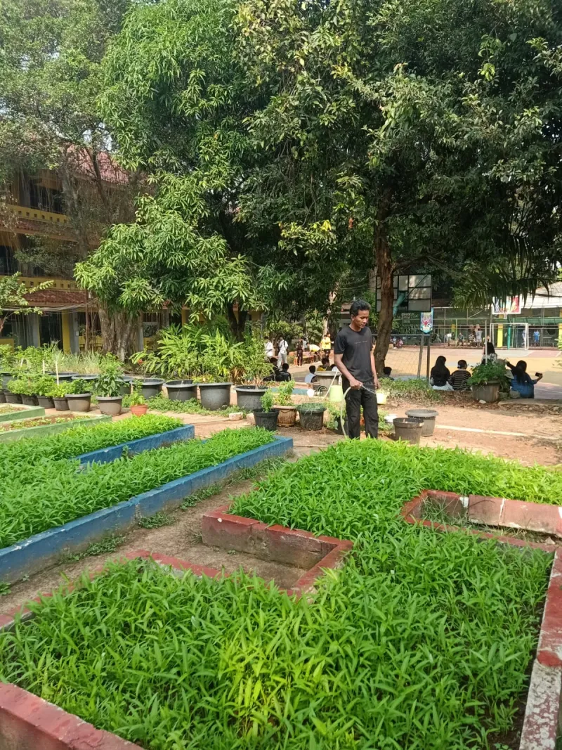 Lahan Urban Farming SMAN 109 Jakarta - Gambar 268