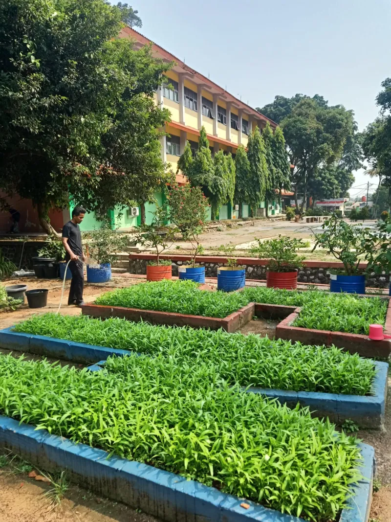 Lahan Urban Farming SMAN 109 Jakarta - Gambar 271