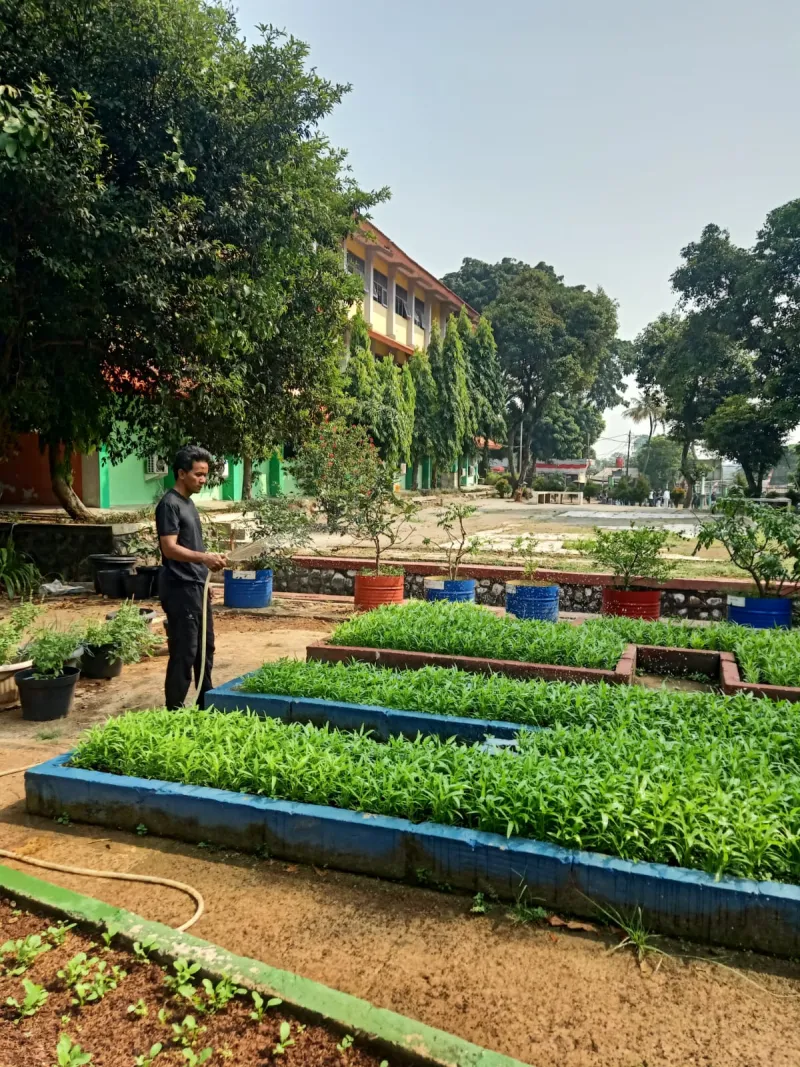 Lahan Urban Farming SMAN 109 Jakarta - Gambar 269