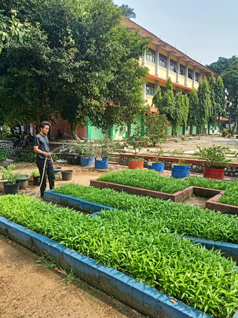 Lahan Urban Farming SMAN 109 Jakarta - Gambar 270