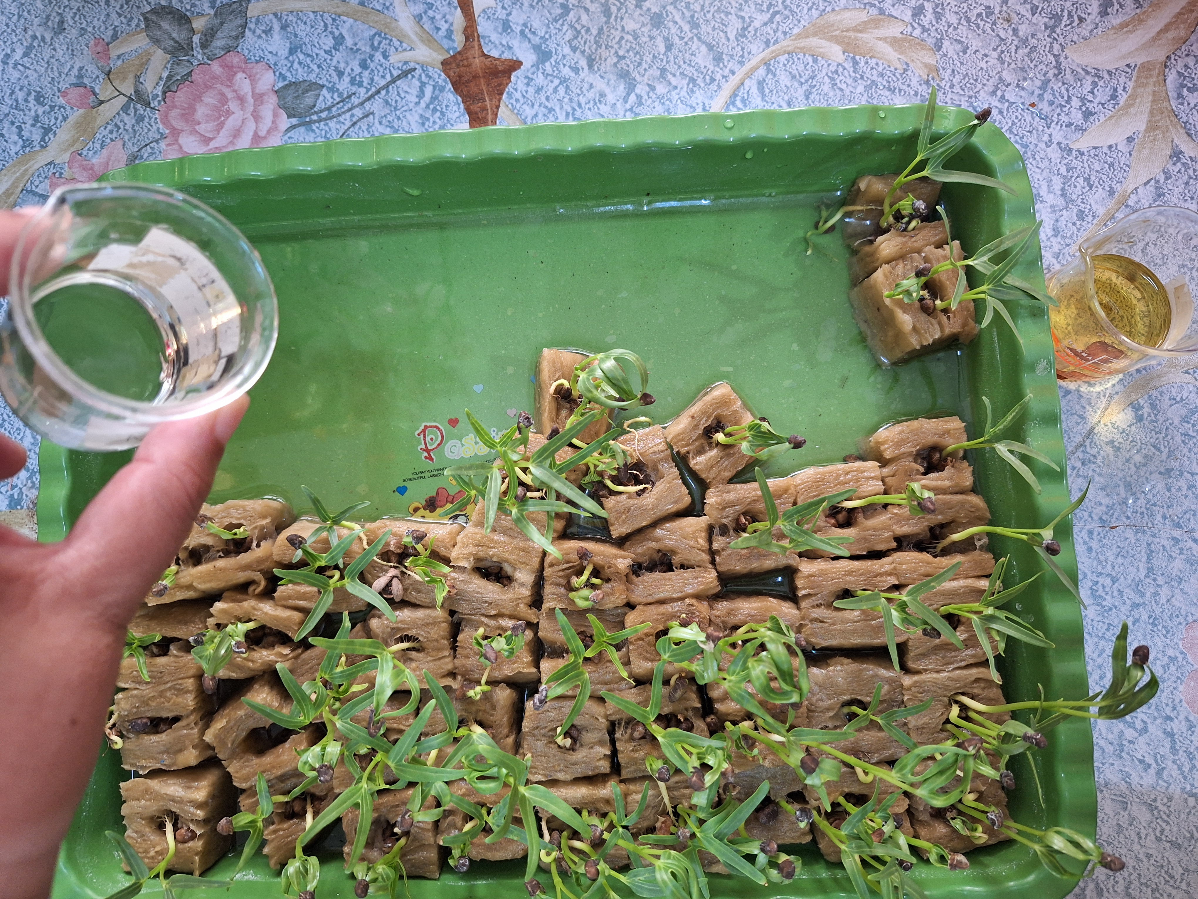 Lahan Urban Farming SMAN 34 Jakarta - Gambar 98