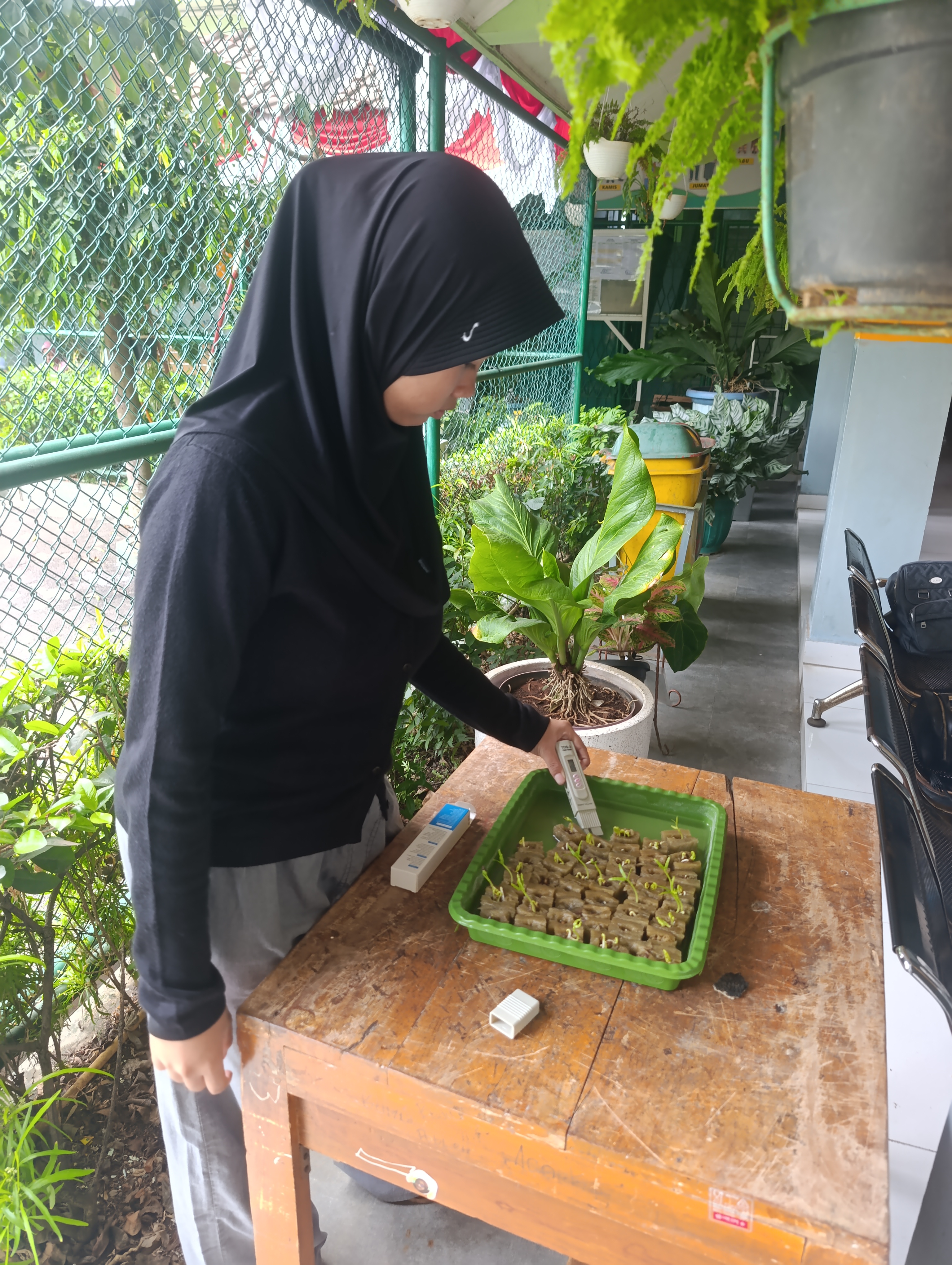 Lahan Urban Farming SMKN 20 Jakarta - Gambar 133