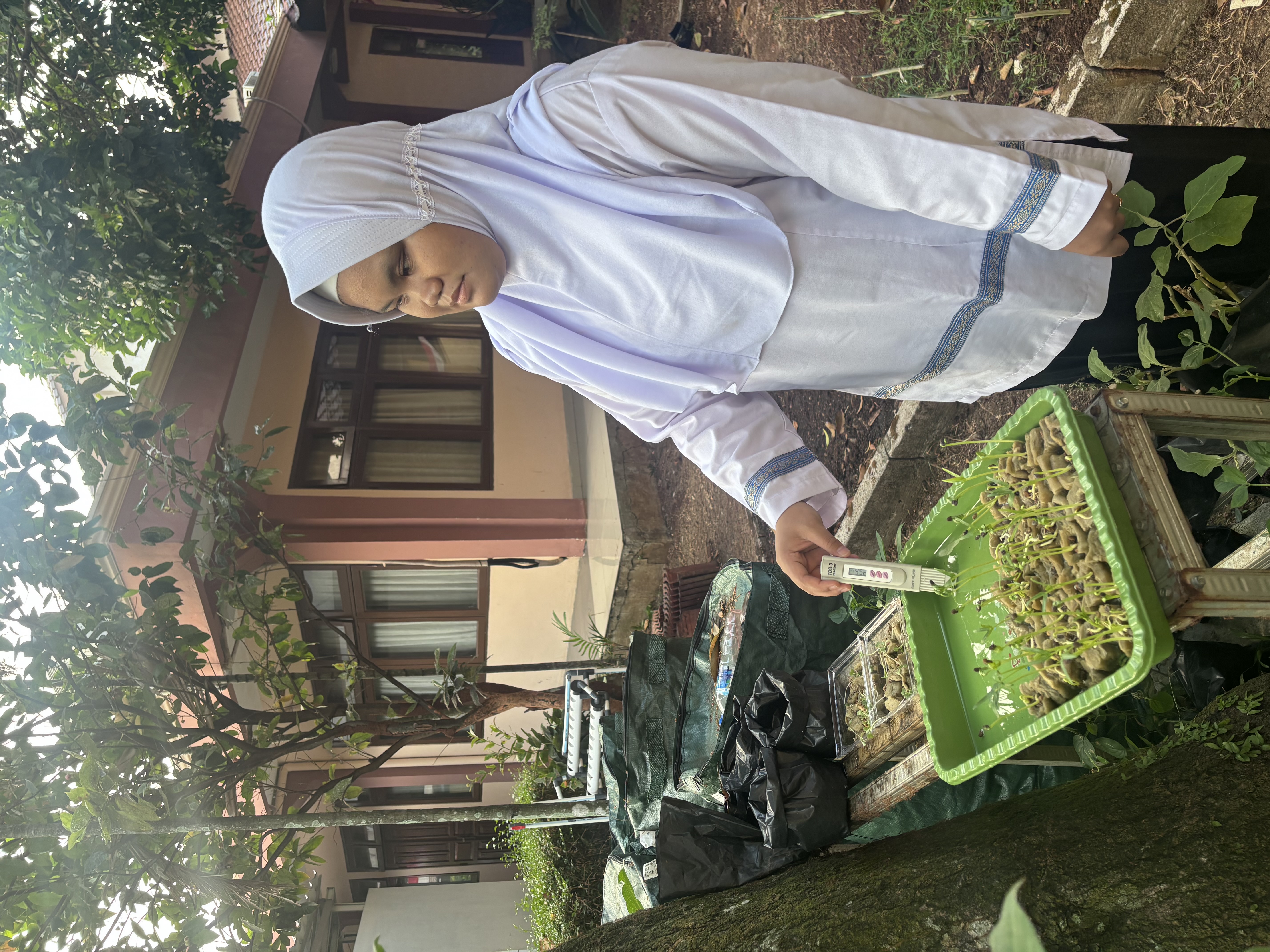 Lahan Urban Farming SLB A Pembina Tingkat Nasional - Gambar 139