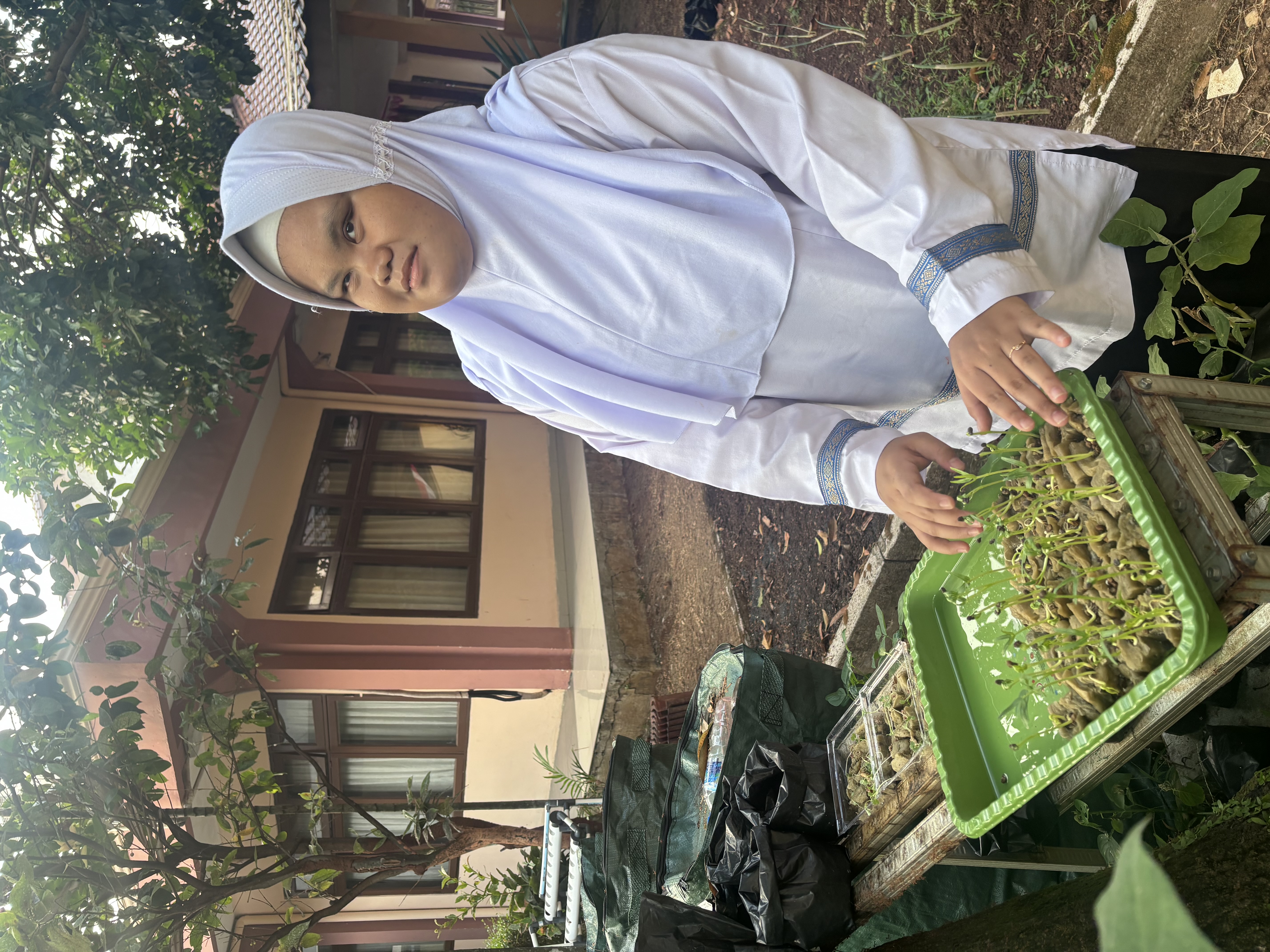 Lahan Urban Farming SLB A Pembina Tingkat Nasional - Gambar 137