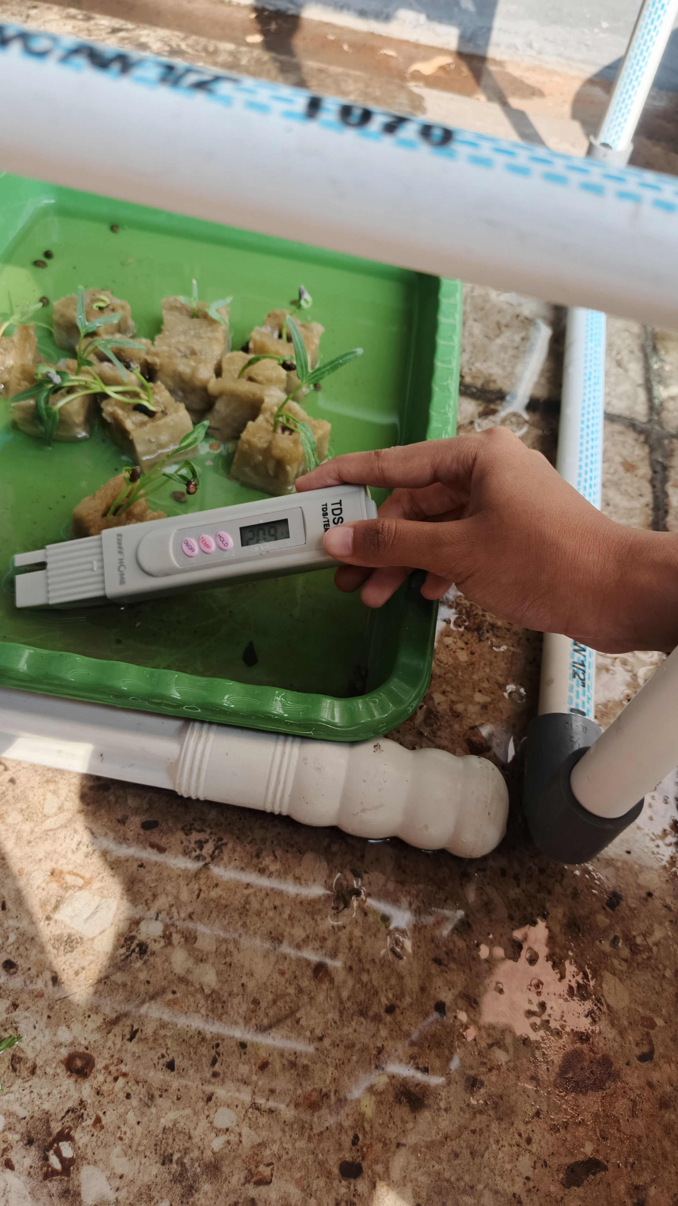 Lahan Urban Farming SMKN 41 Jakarta - Gambar 82