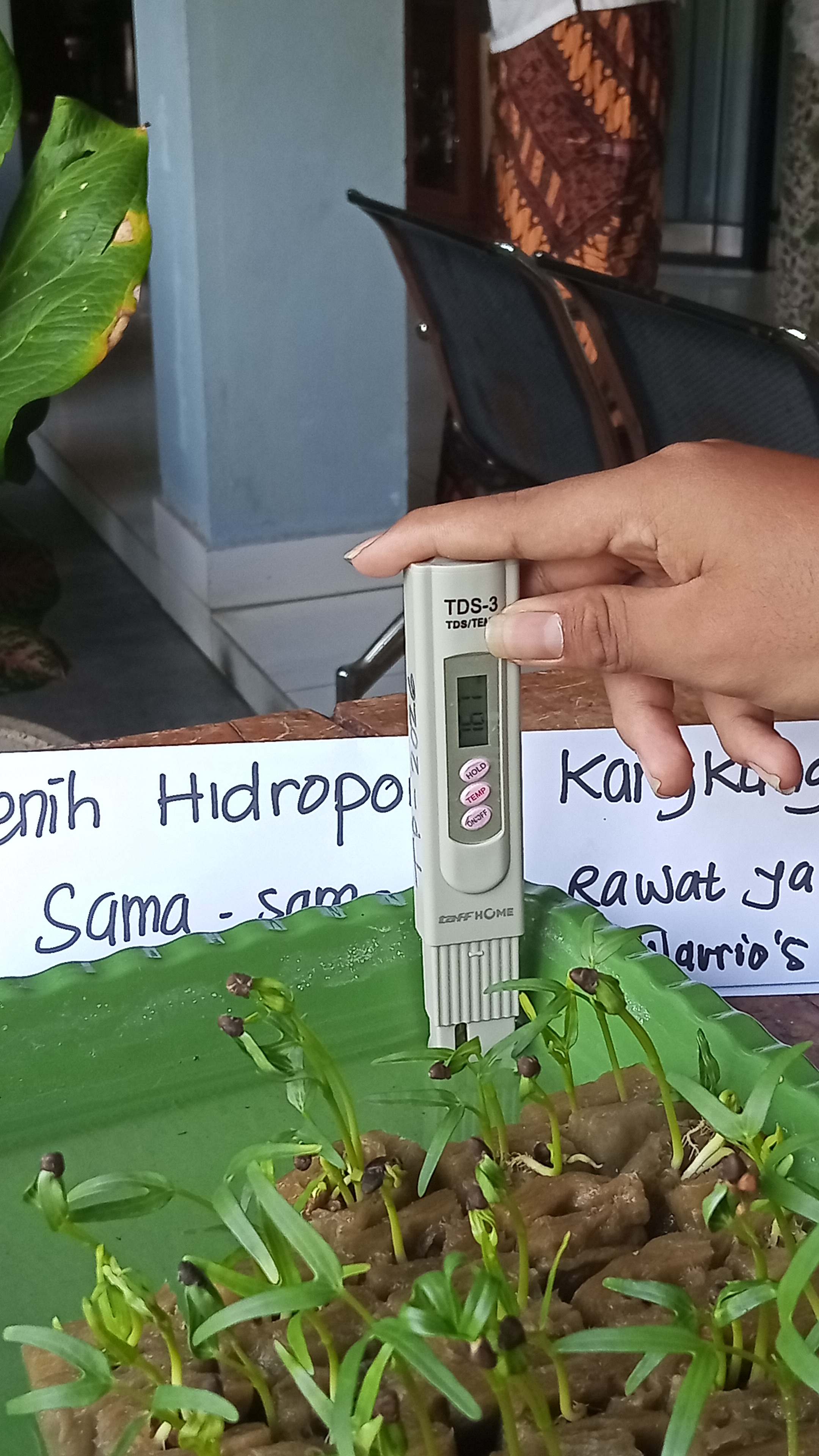Lahan Urban Farming SMKN 20 Jakarta - Gambar 128