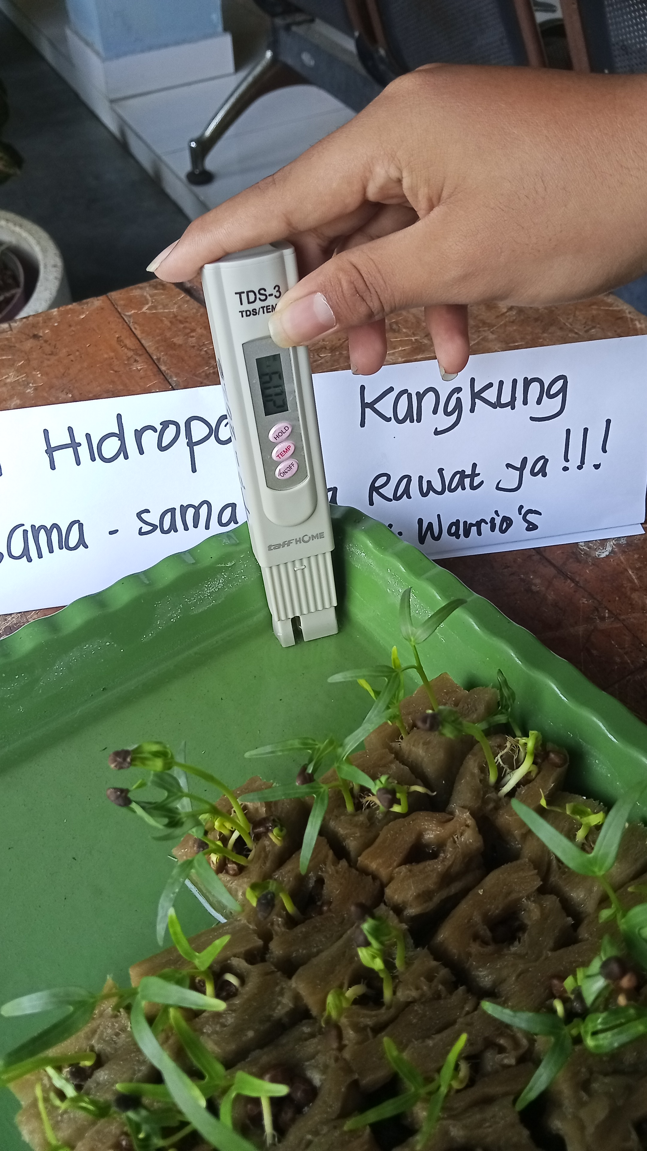 Lahan Urban Farming SMKN 20 Jakarta - Gambar 130