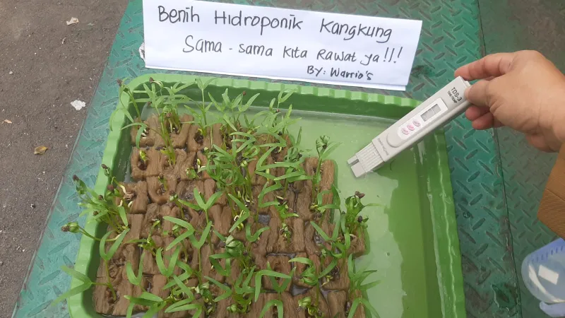 Lahan Urban Farming SMKN 20 Jakarta - Gambar 127