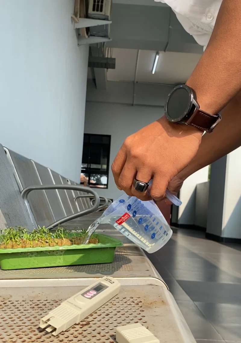 Lahan Urban Farming SDN Cipete Selatan 03 - Gambar 133