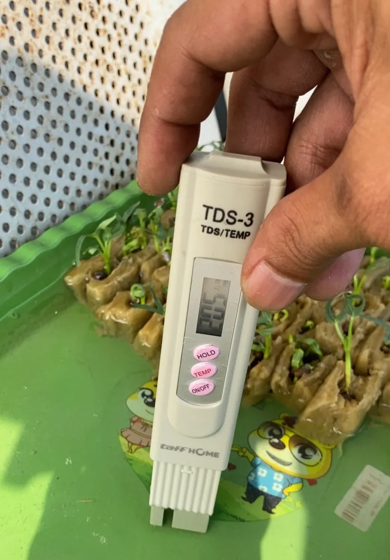 Lahan Urban Farming SDN Cipete Selatan 03 - Gambar 131