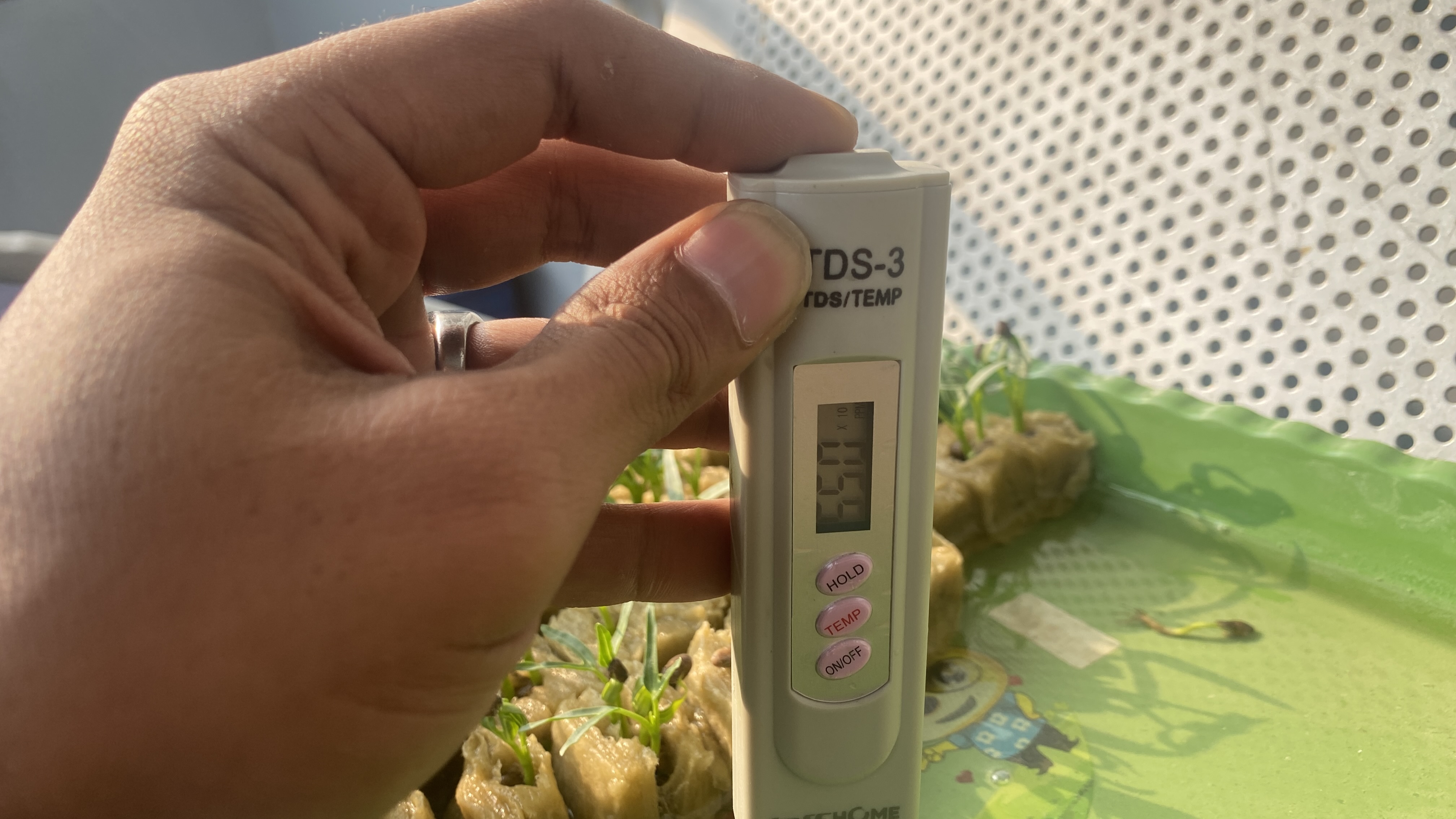 Lahan Urban Farming SDN Cipete Selatan 03 - Gambar 128