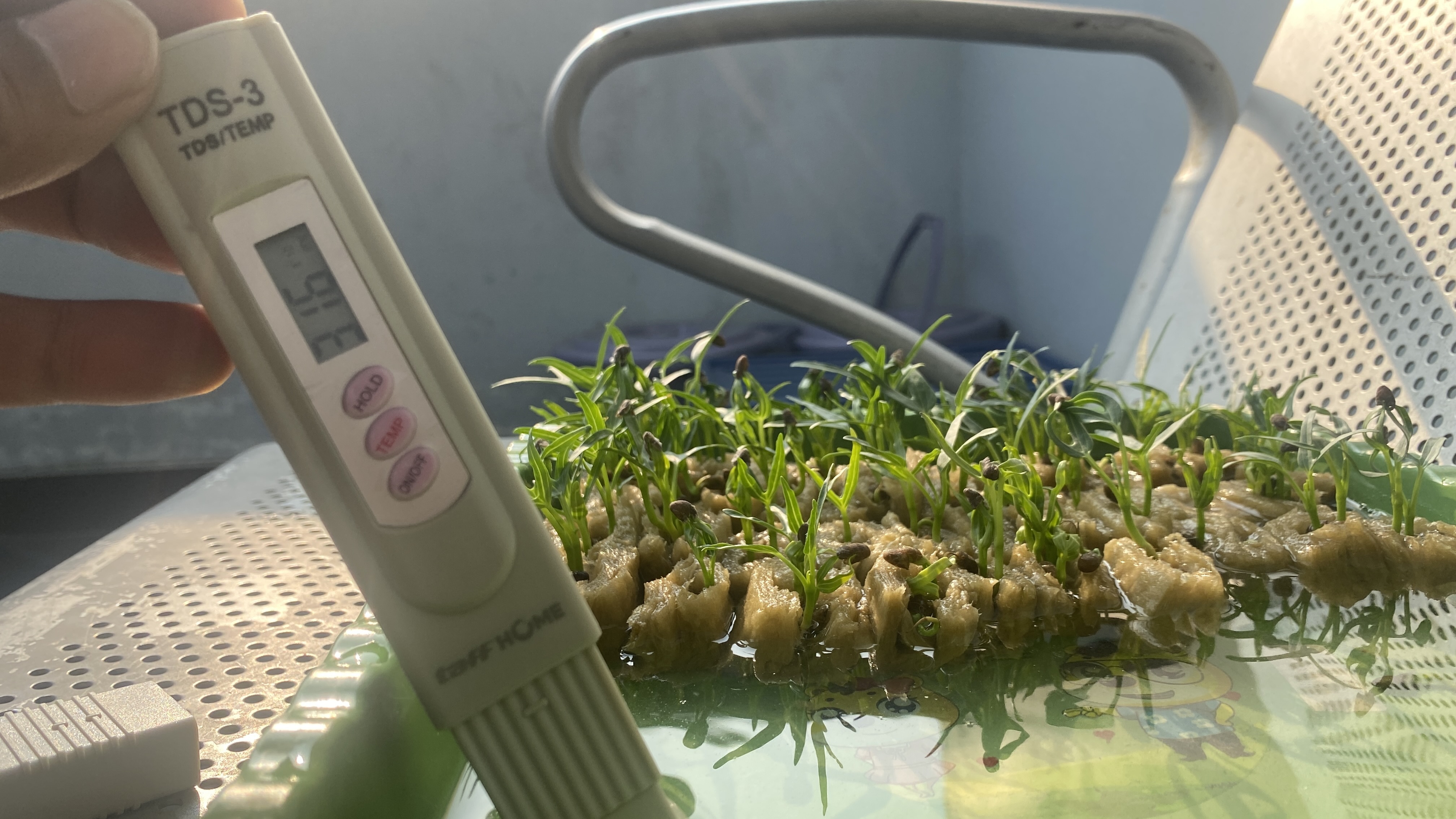 Lahan Urban Farming SDN Cipete Selatan 03 - Gambar 127