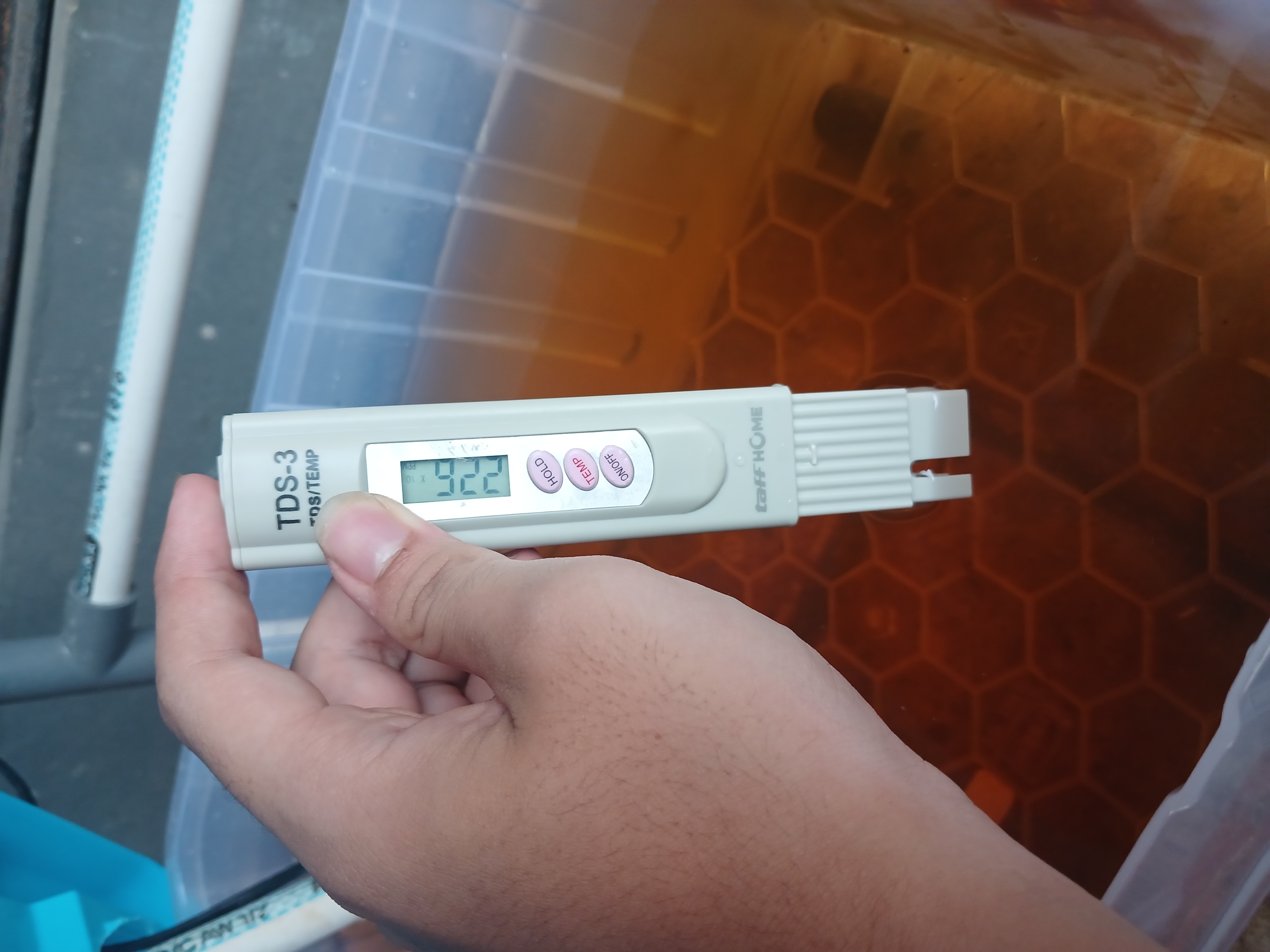 Lahan Urban Farming SMKN 41 Jakarta - Gambar 76