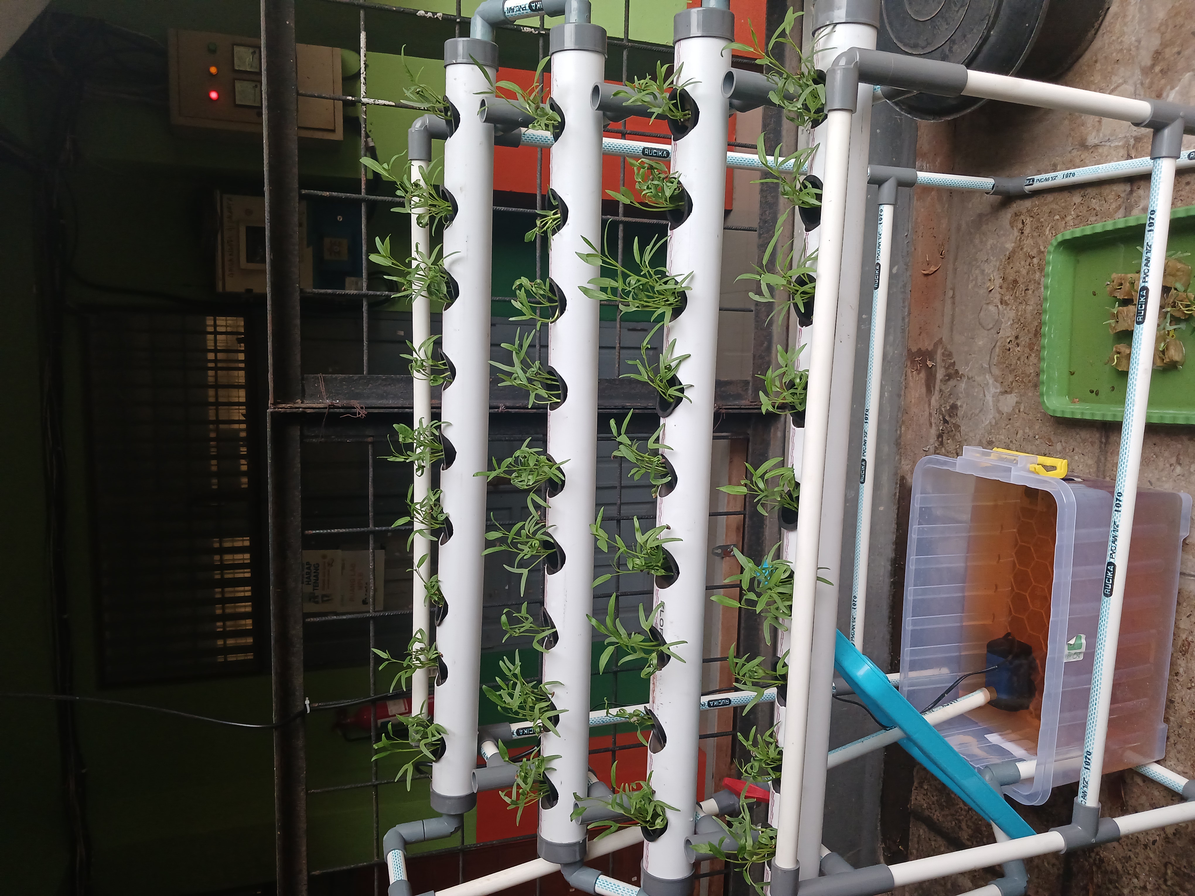 Lahan Urban Farming SMKN 41 Jakarta - Gambar 77