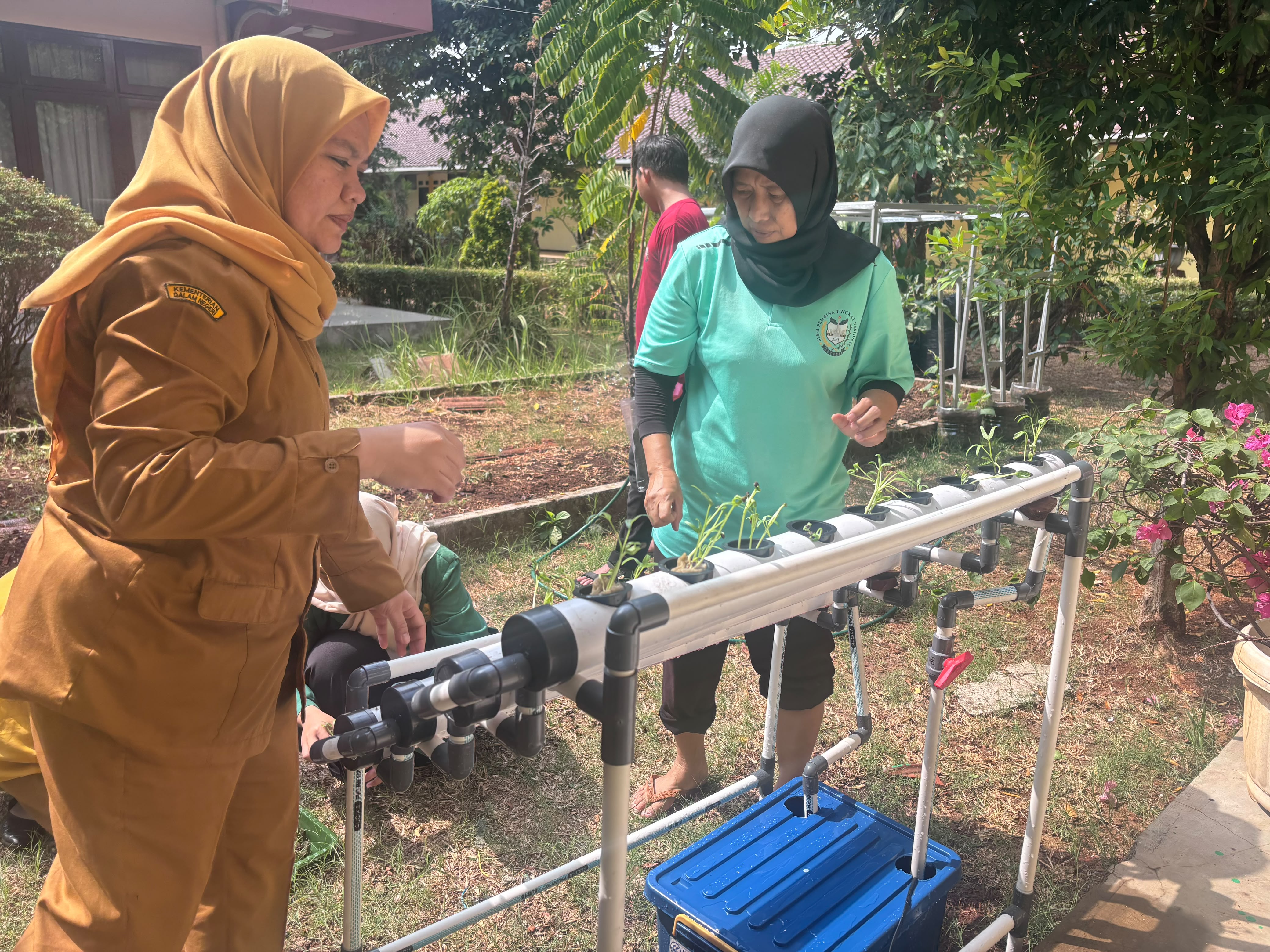 Lahan Urban Farming SLB A Pembina Tingkat Nasional - Gambar 132