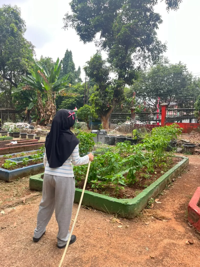 Lahan Urban Farming SMAN 109 Jakarta - Gambar 248